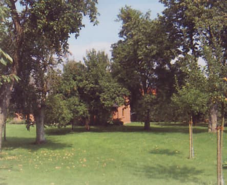 Großer Garten des Gasthauses Zur Eiche Bienenbüttel