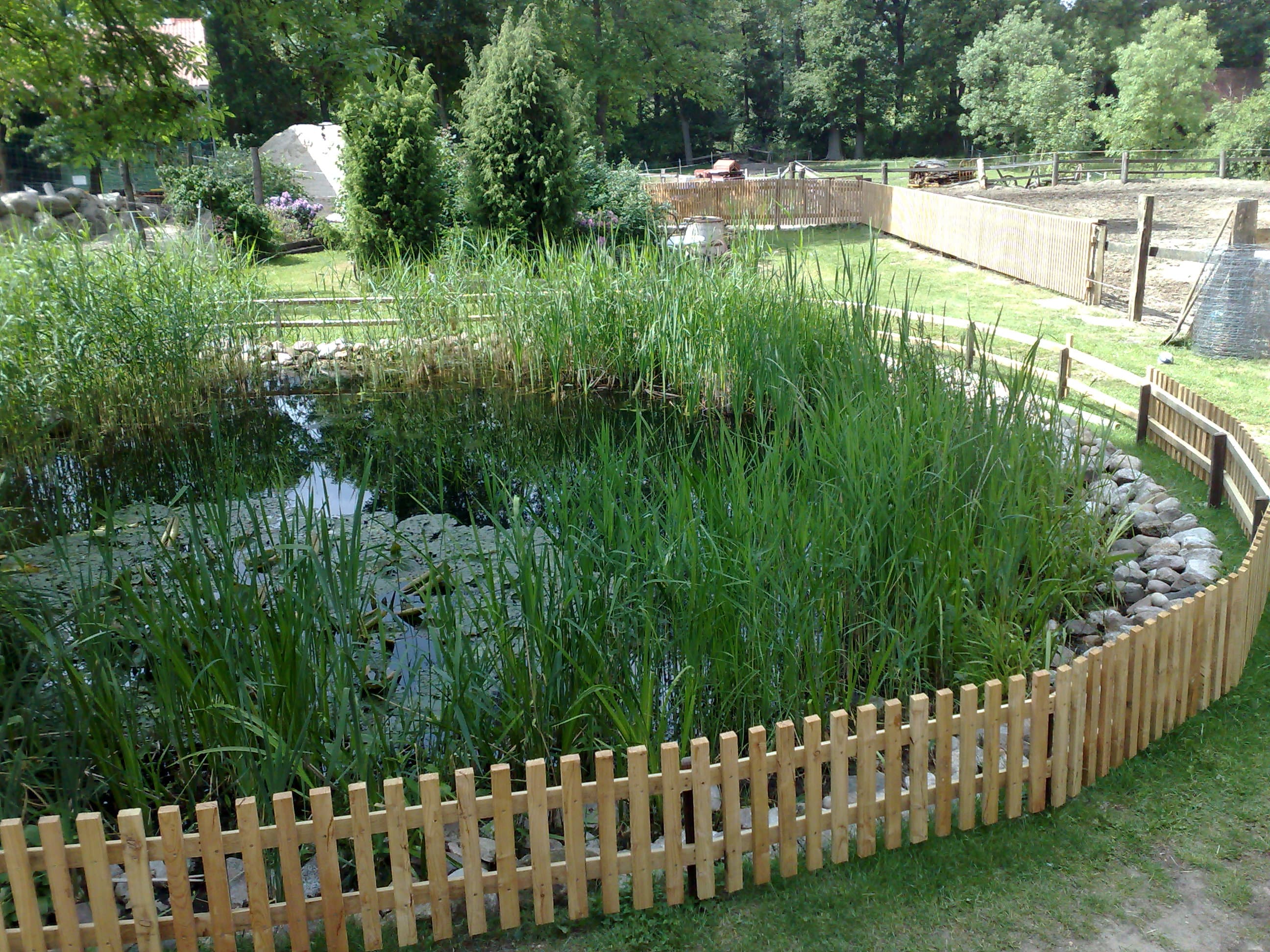 Teich Erlebnisbauernhof mit Bauerncafé "To'n olln Peerstall"