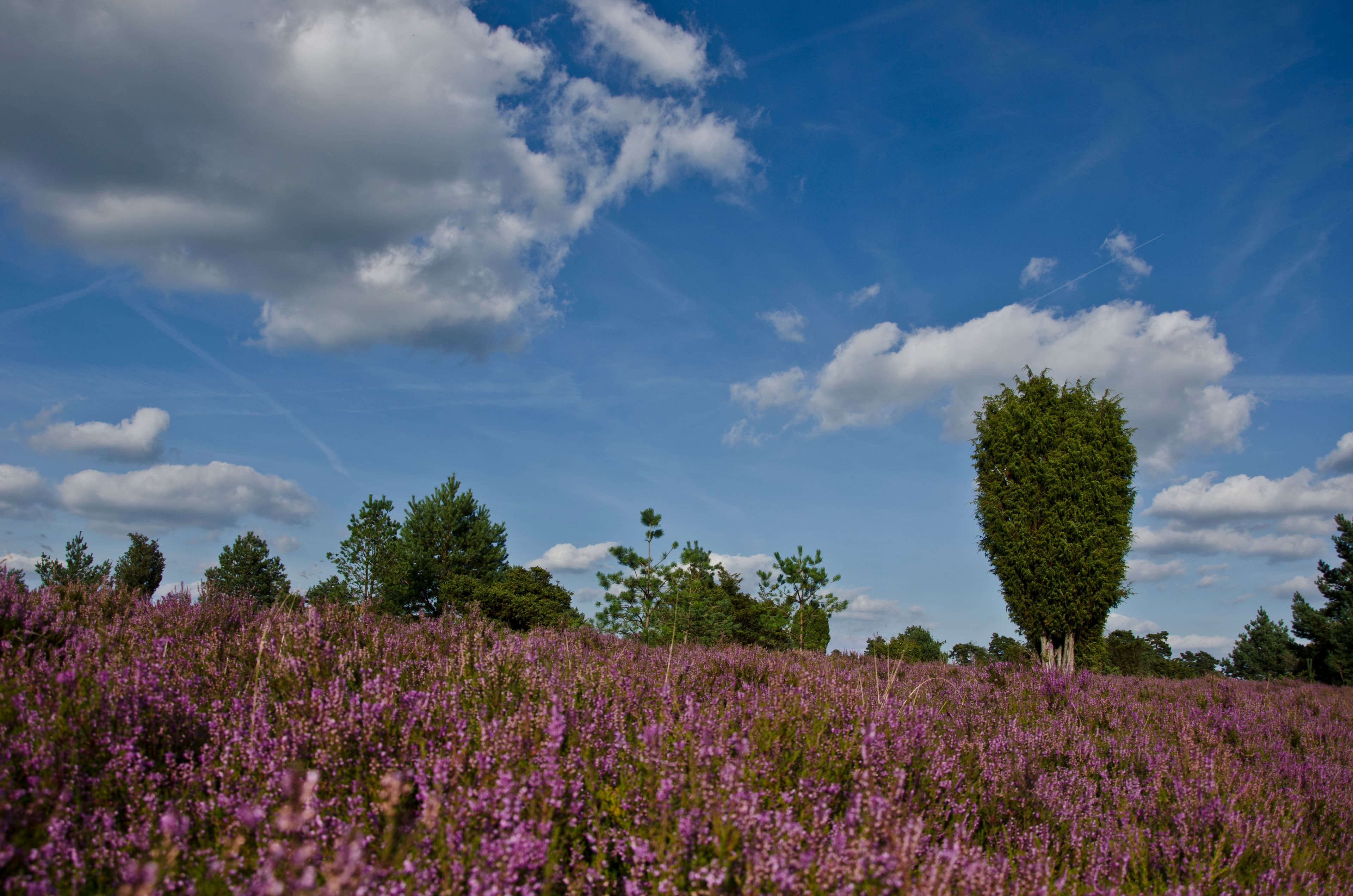 Hof Hartig Ferienwohnungen