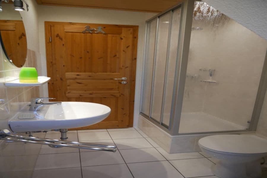 Dusche der Ferienwohnung Meisennest auf dem Ferienhof Holste