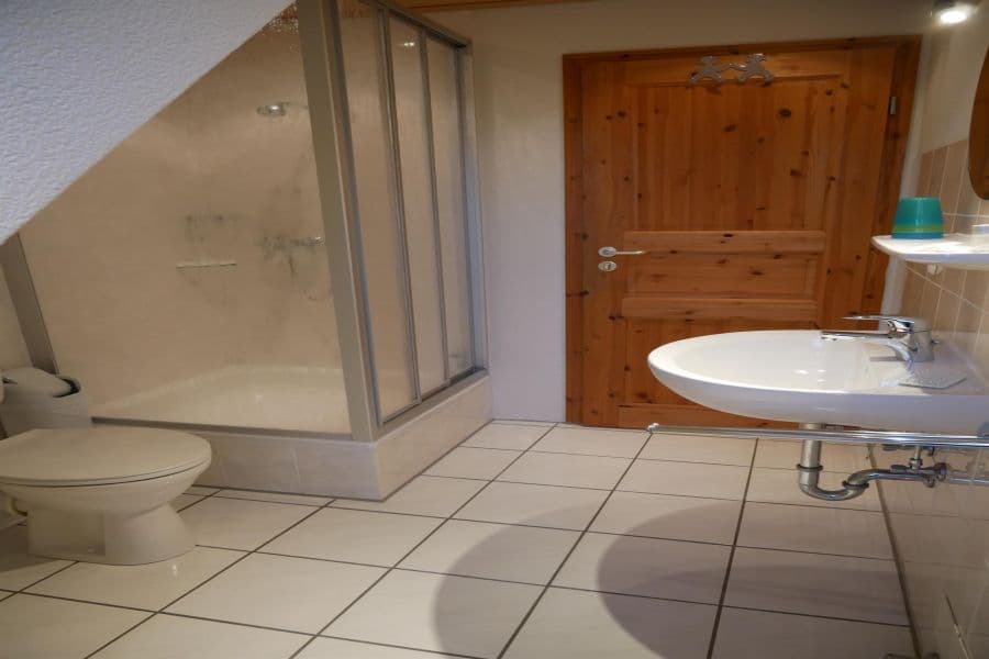 Badezimmer der Ferienwohnung Wolfshoehle auf dem Ferienhof Holste