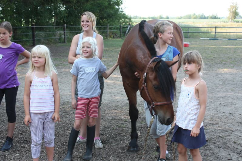 Ferienzentrum Heidenau - Ferienhaus