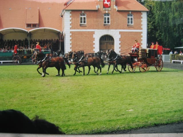 Appartements Haus Eilenriede