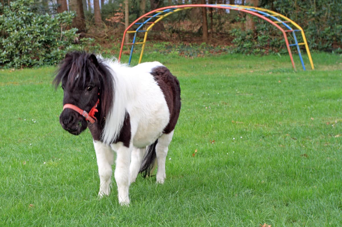 Gästehaus Bommelsen