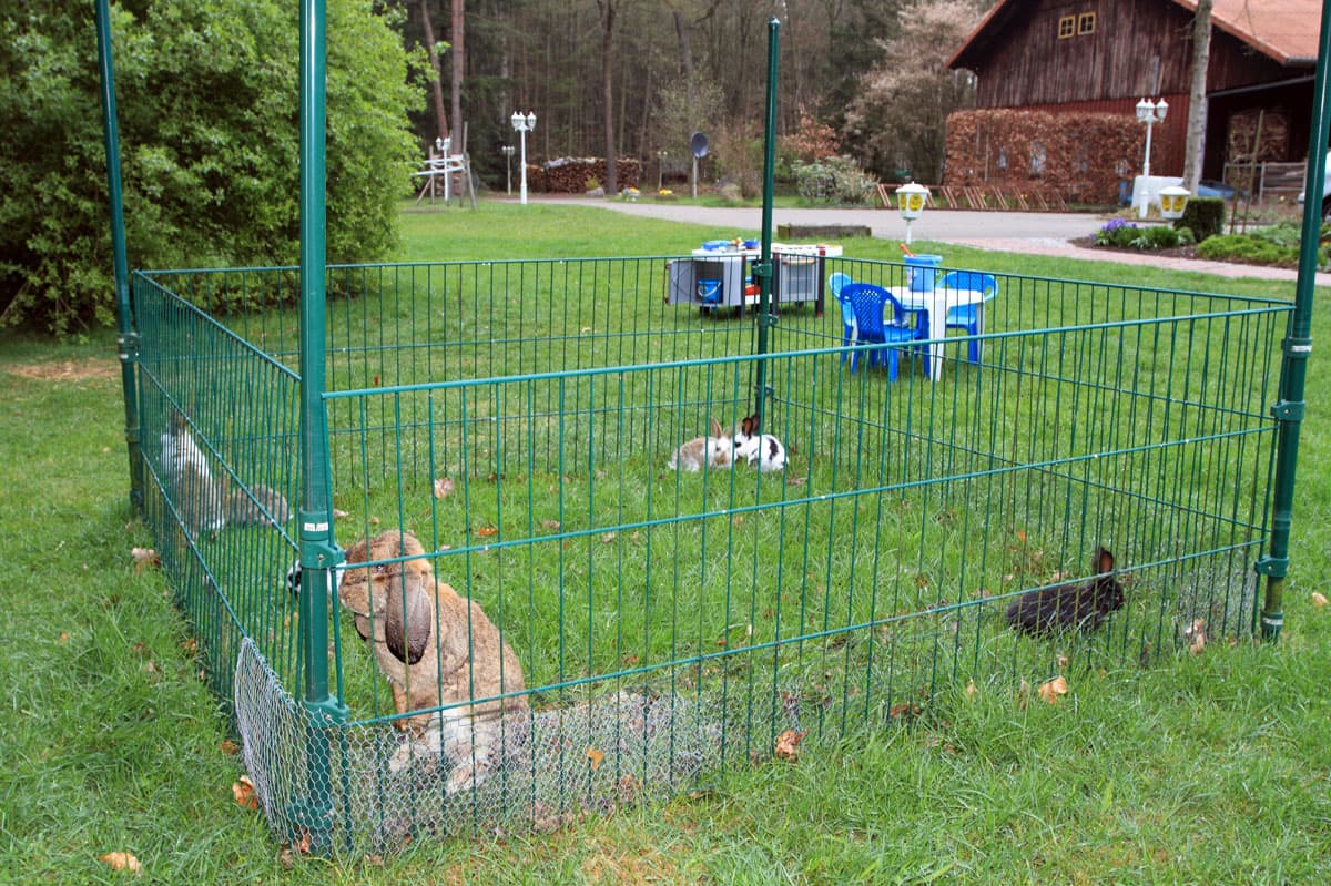 Gästehaus Bommelsen