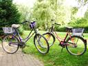 Fahrräder Ferienwohnung Auenglück im Von Cölln Hof