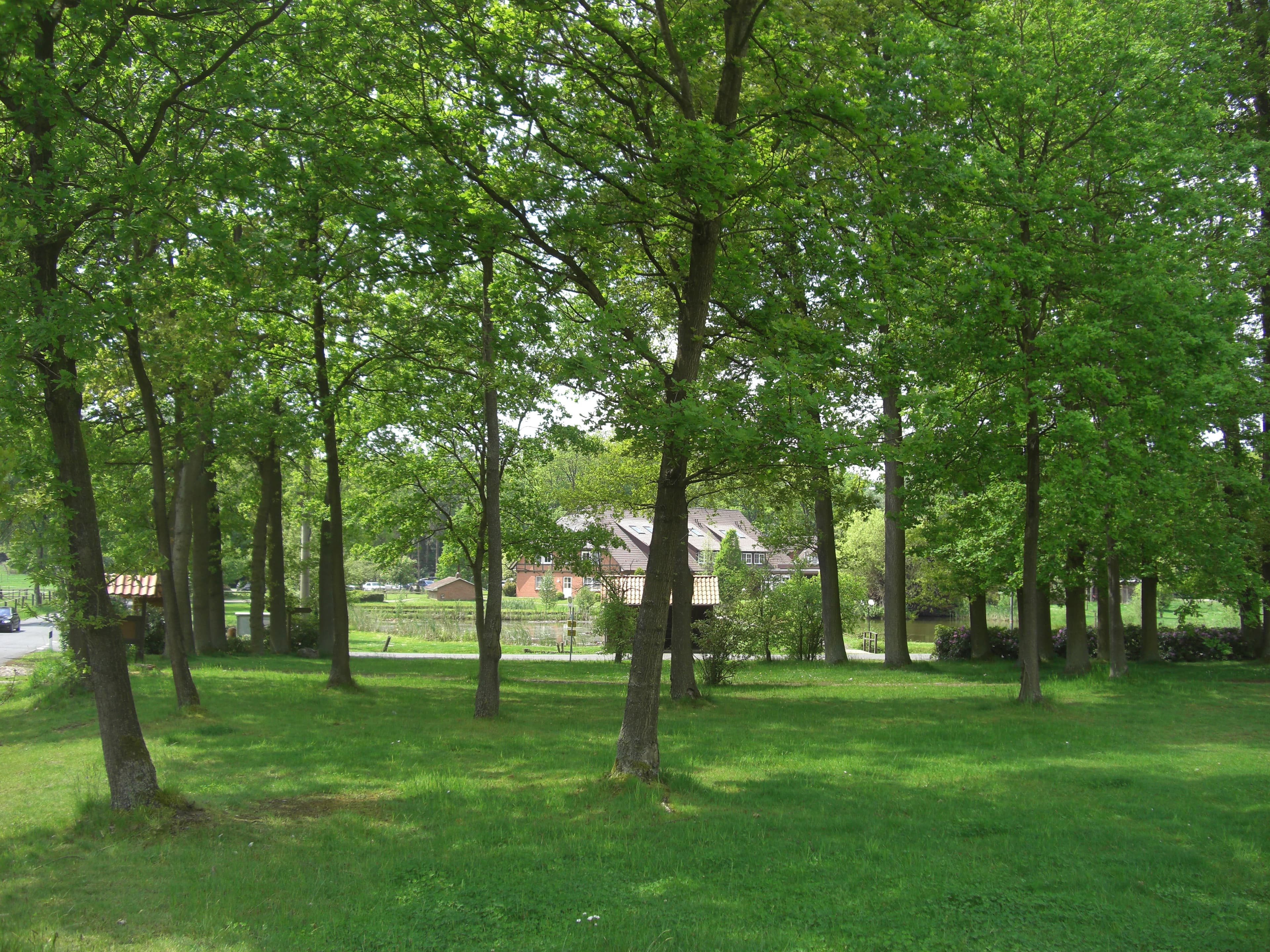Wohnmobil Stellplatz am Hotel Forellenhof