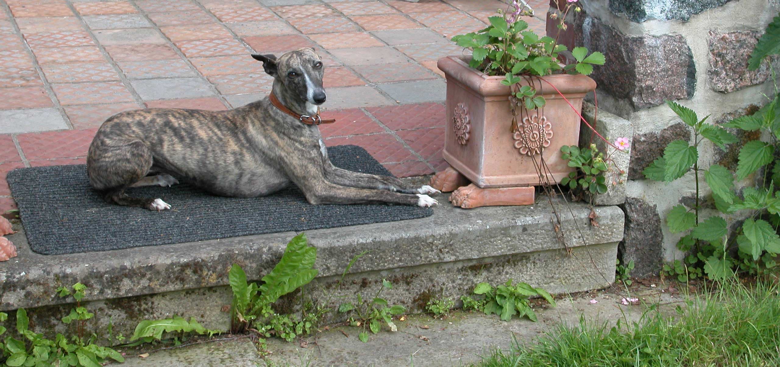 Privatzimmer in der Alten Schule