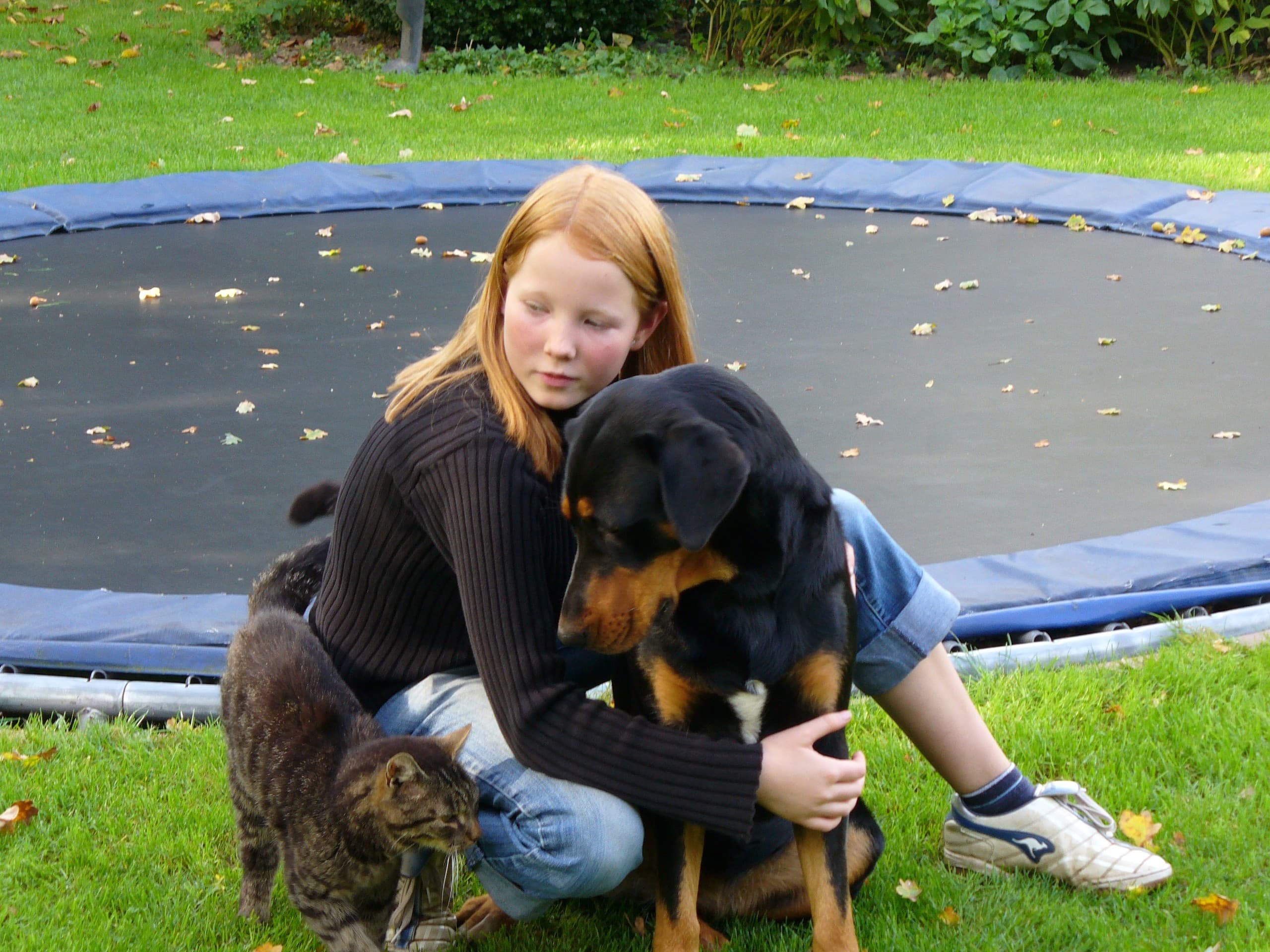 Ferienwohnungen Hof Hartmann