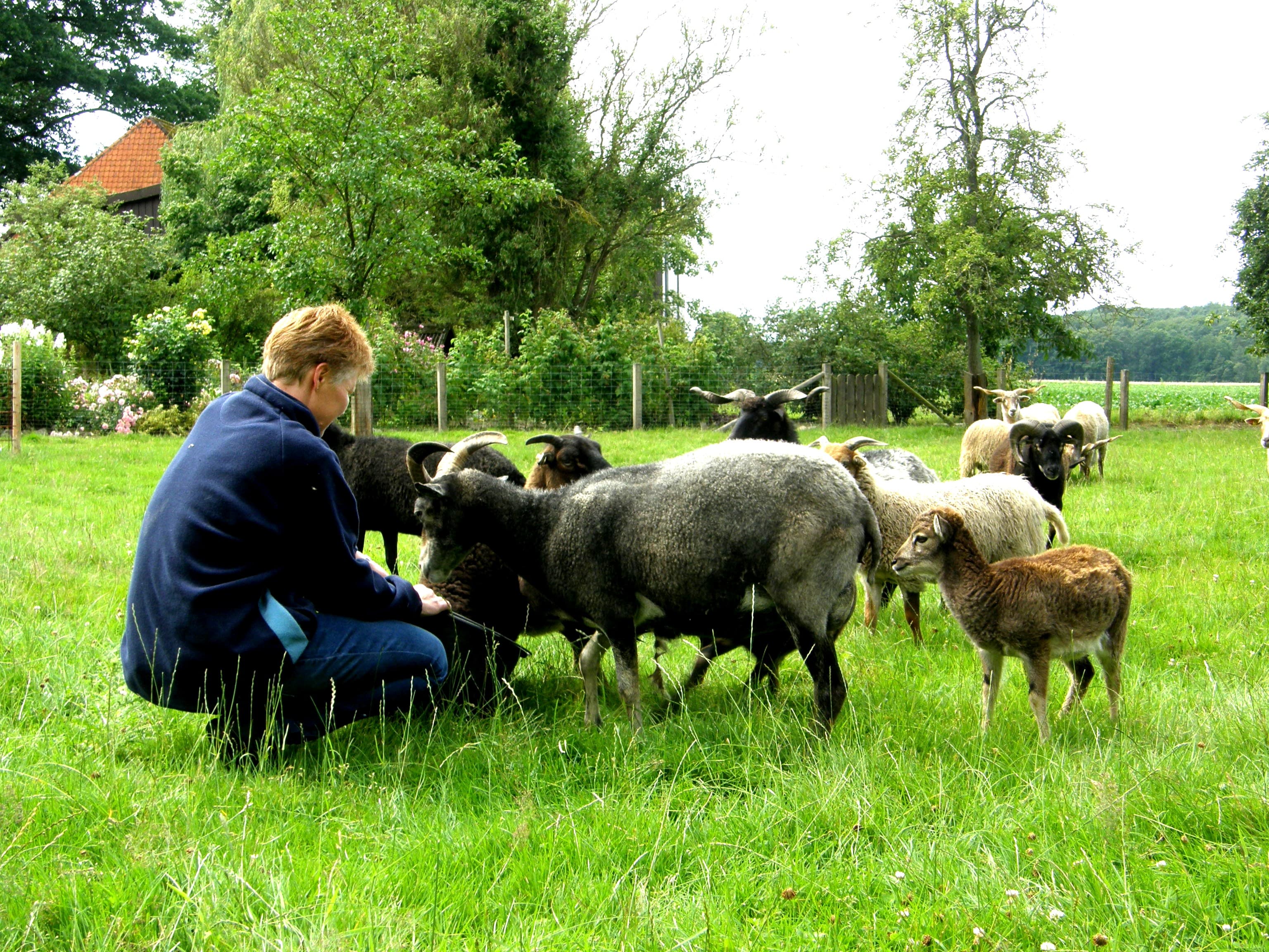 Ferienwohnungen Hof Hartmann