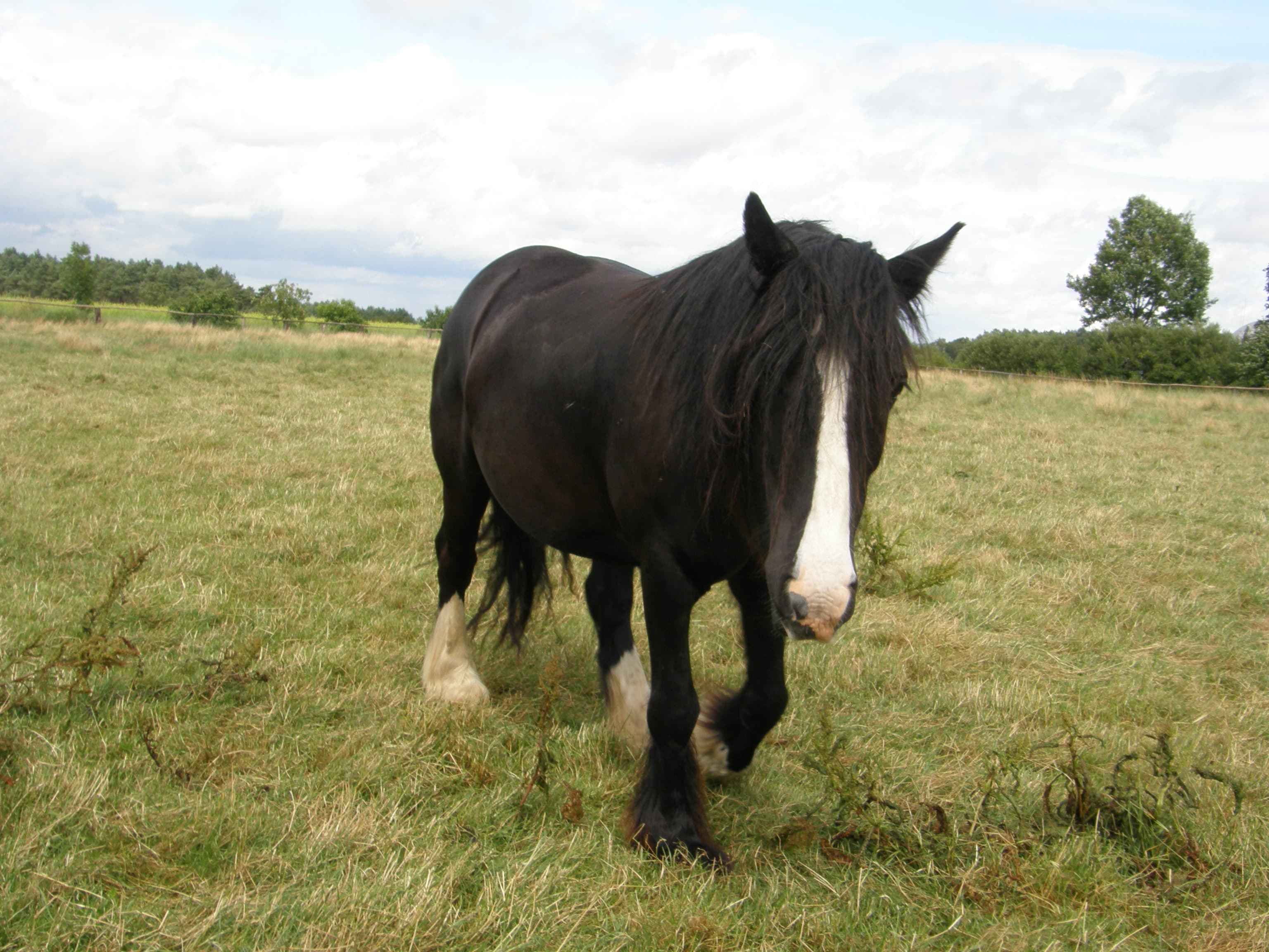 Ferienwohnungen Hof Hartmann