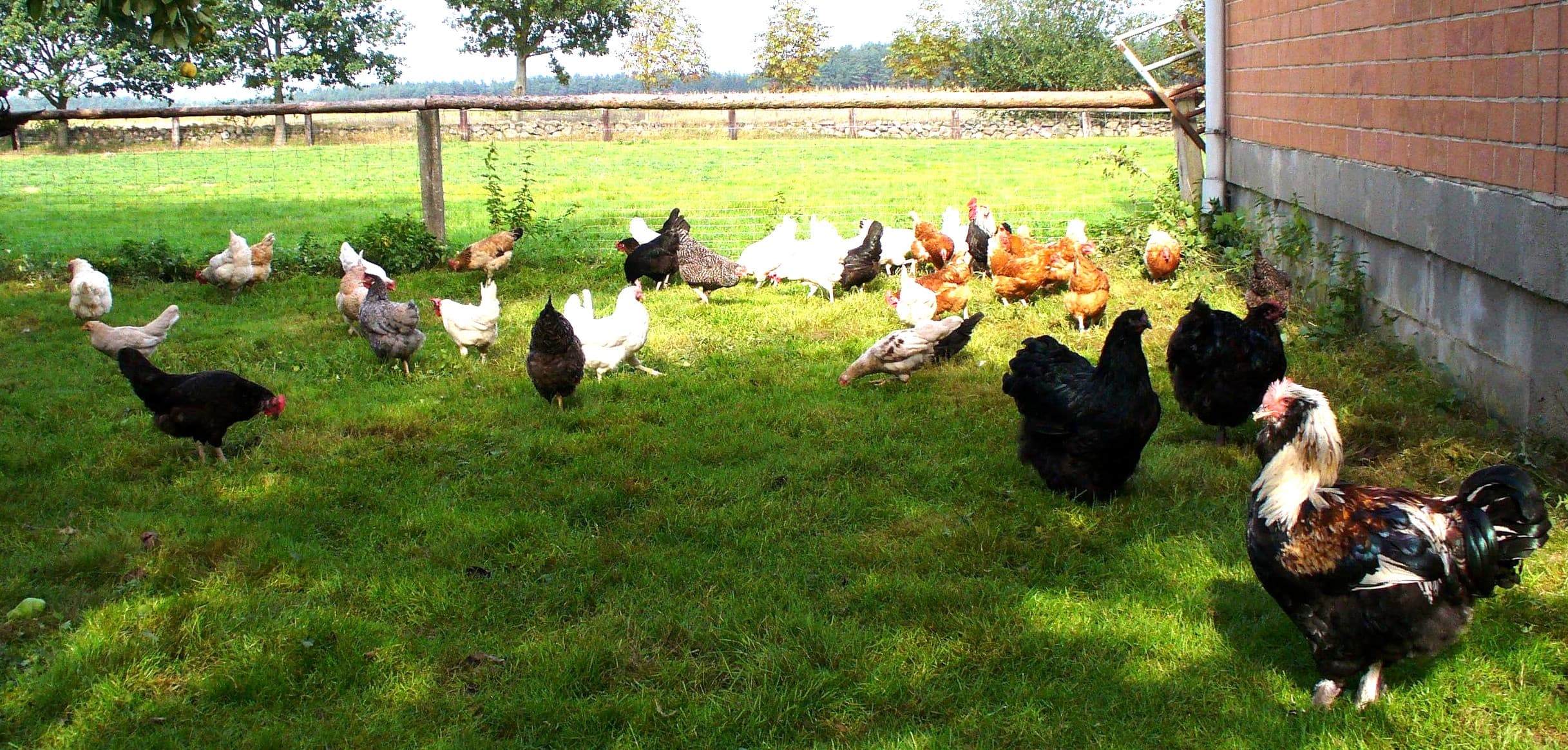 Ferienwohnungen Hof Hartmann