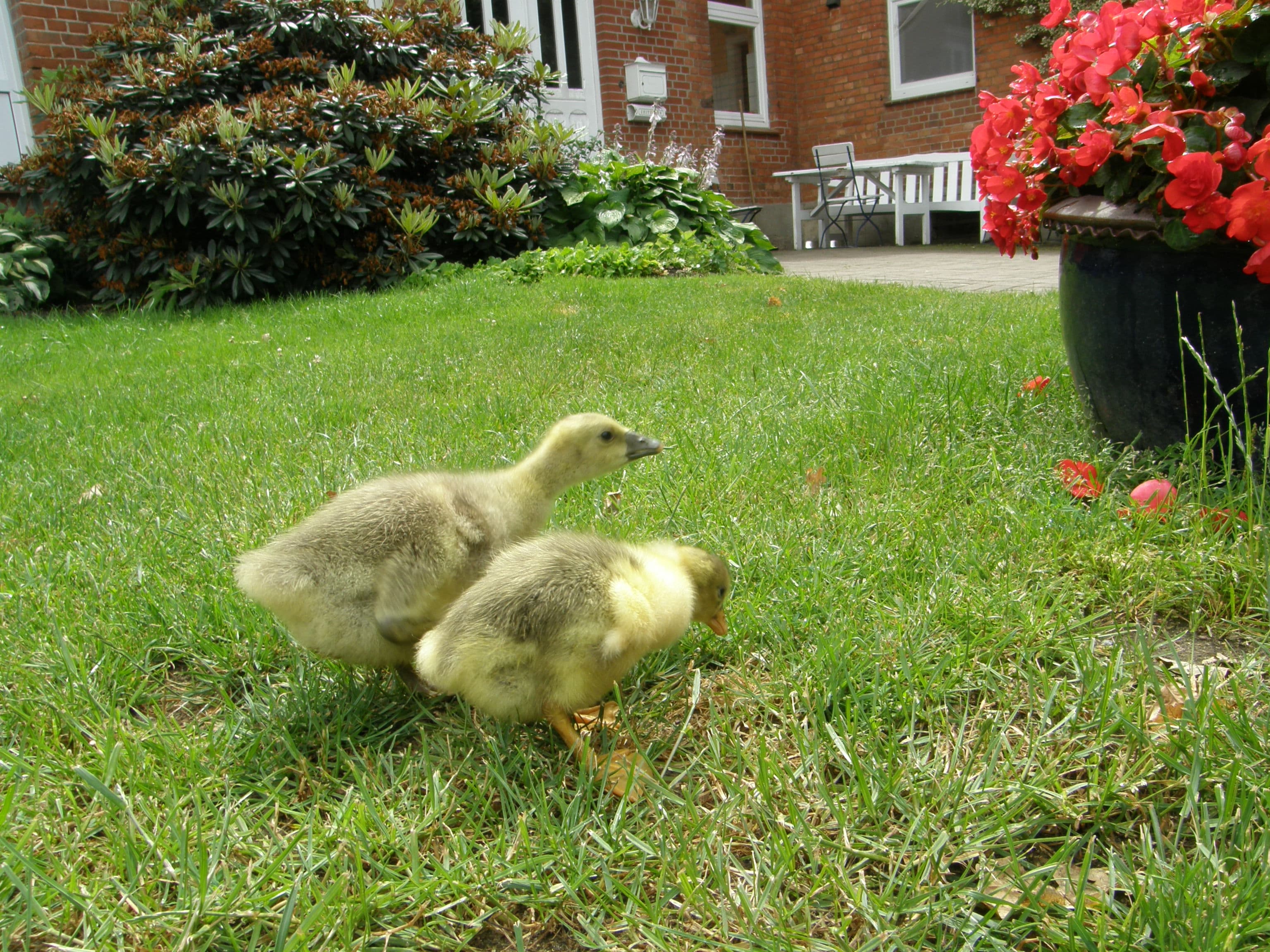 Ferienwohnungen Hof Hartmann