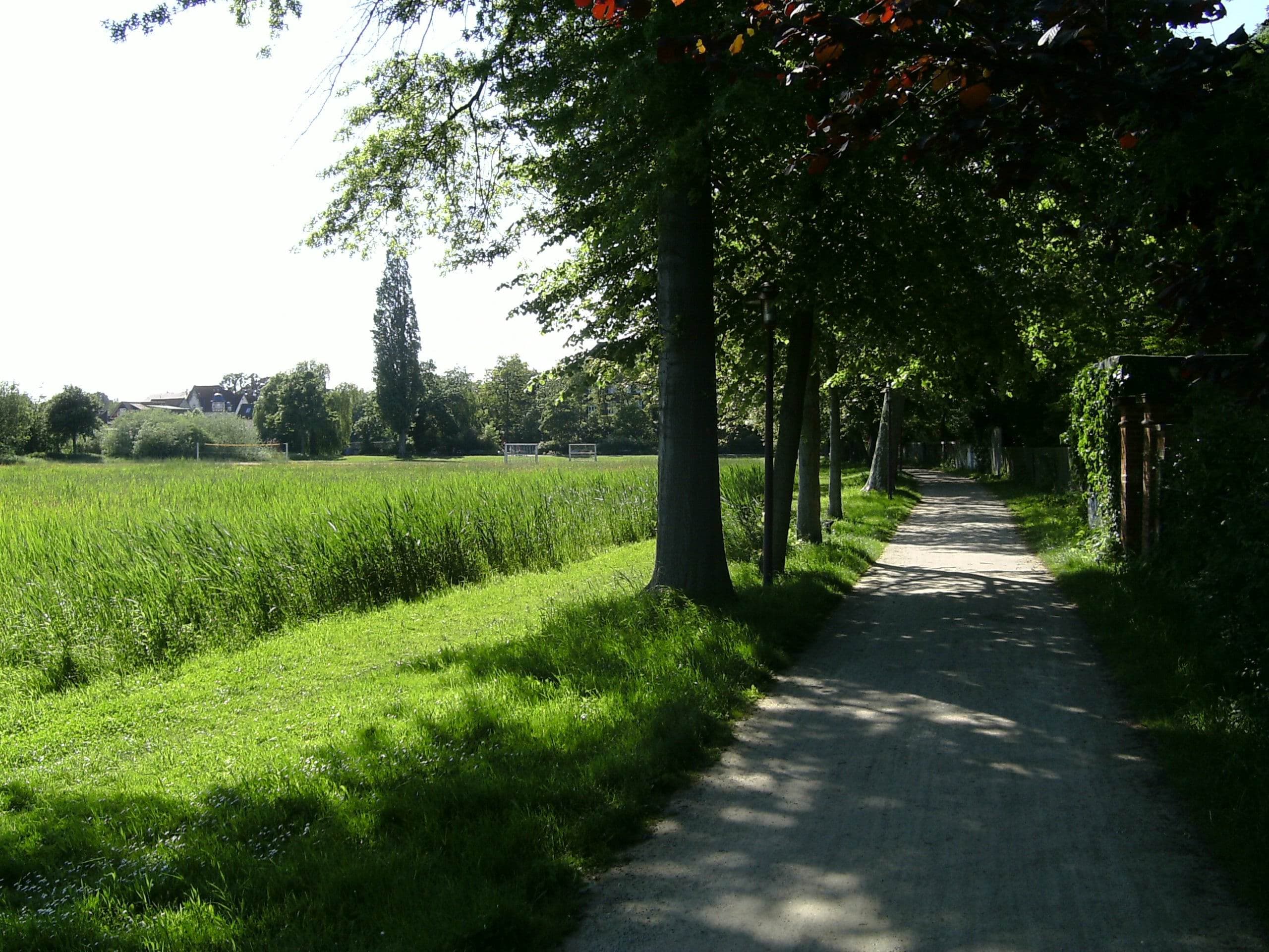 Allee Leisewitz´ Garten