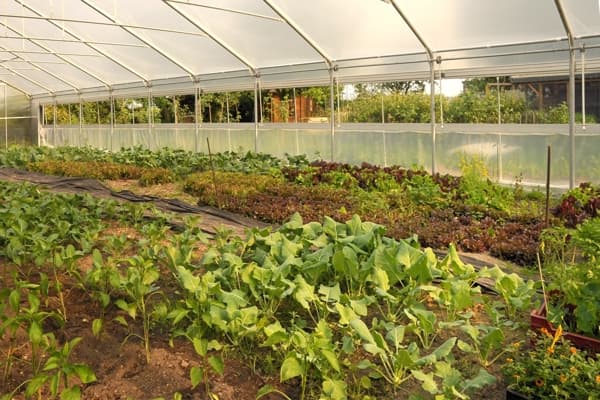 Ferienwohnungen Bioland Hof Leutnant