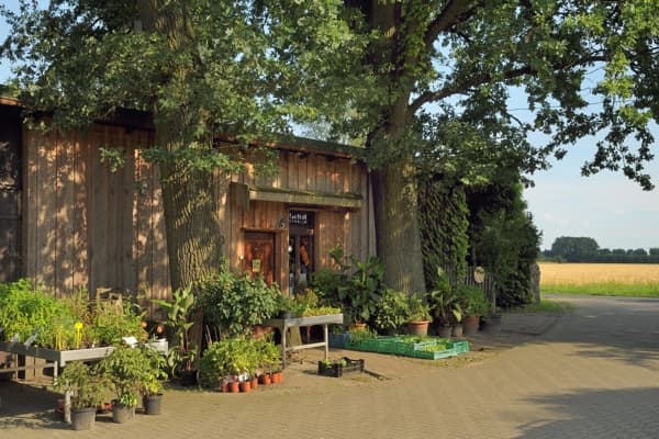 Ferienwohnungen Bioland Hof Leutnant