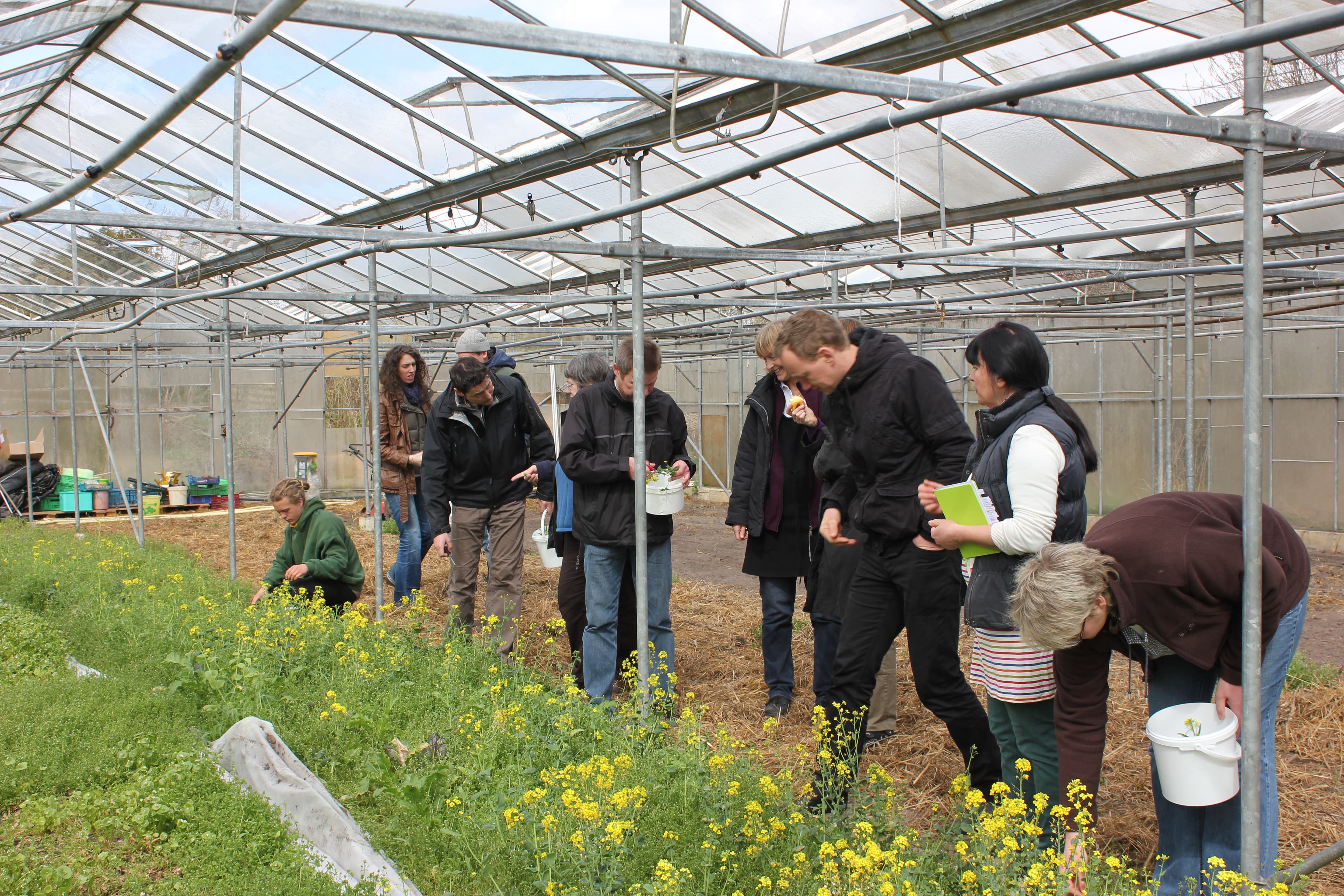 Ferienwohnungen Bioland Hof Leutnant