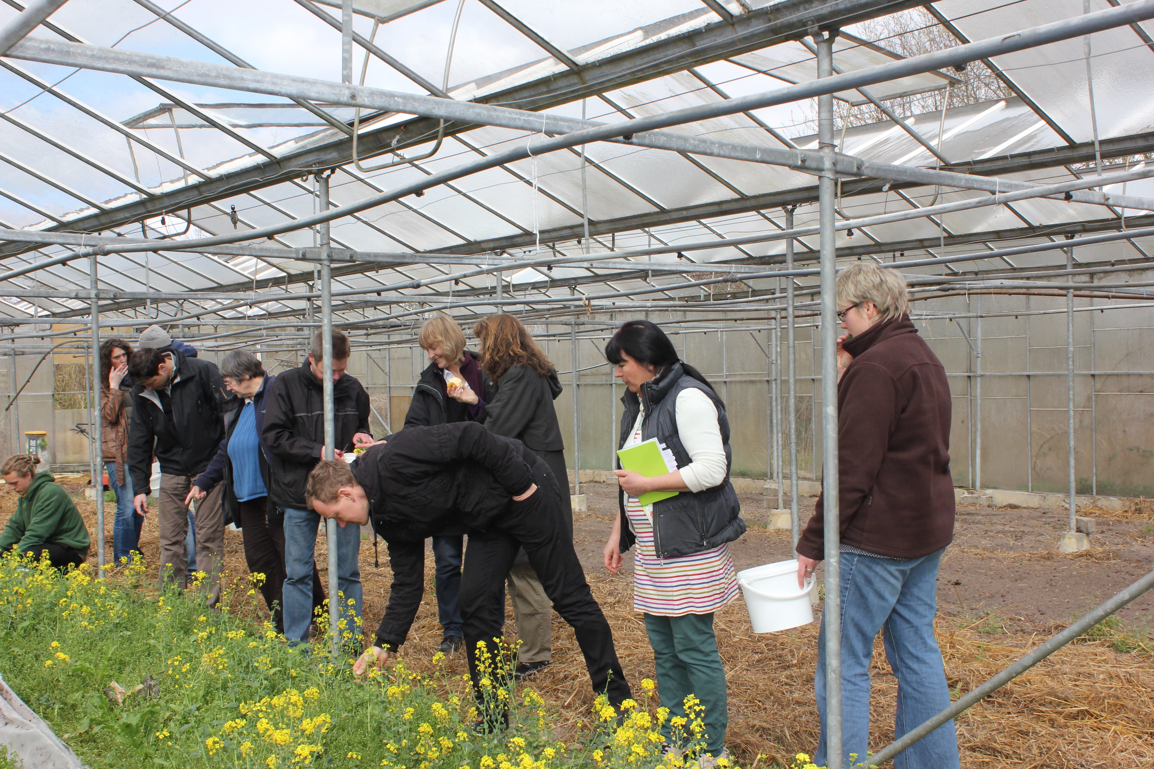 Ferienwohnungen Bioland Hof Leutnant