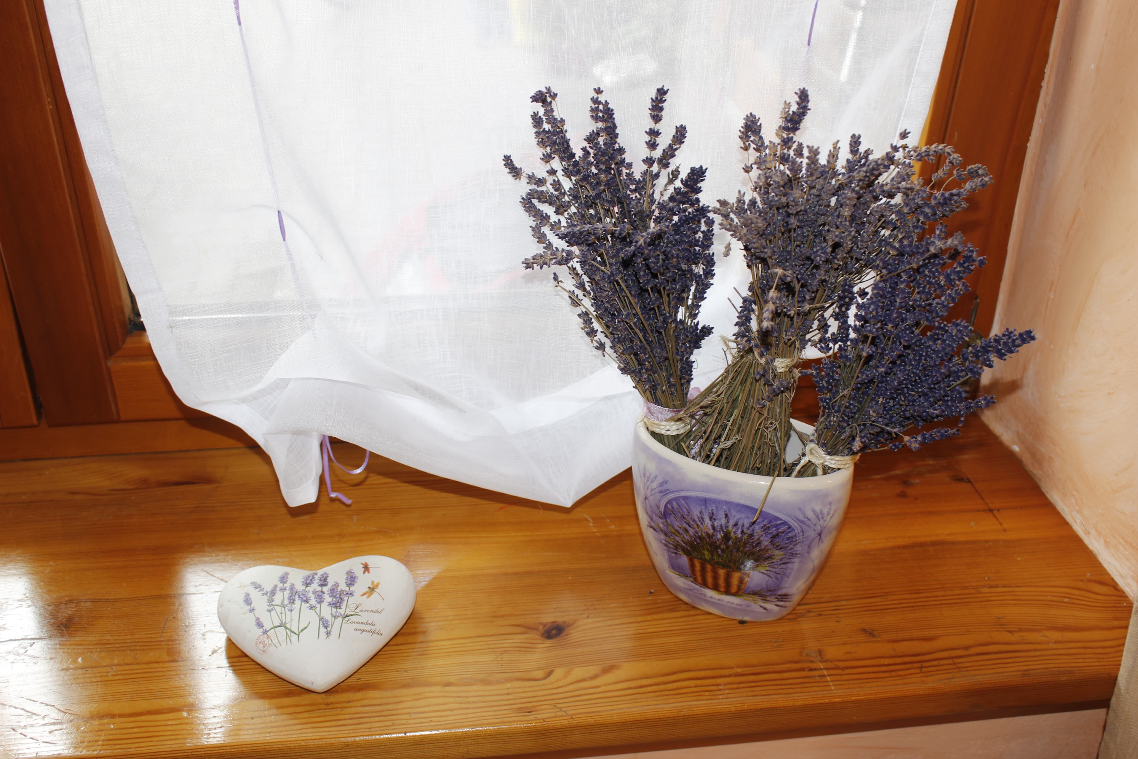 Ferienwohnungen Bioland Hof Leutnant