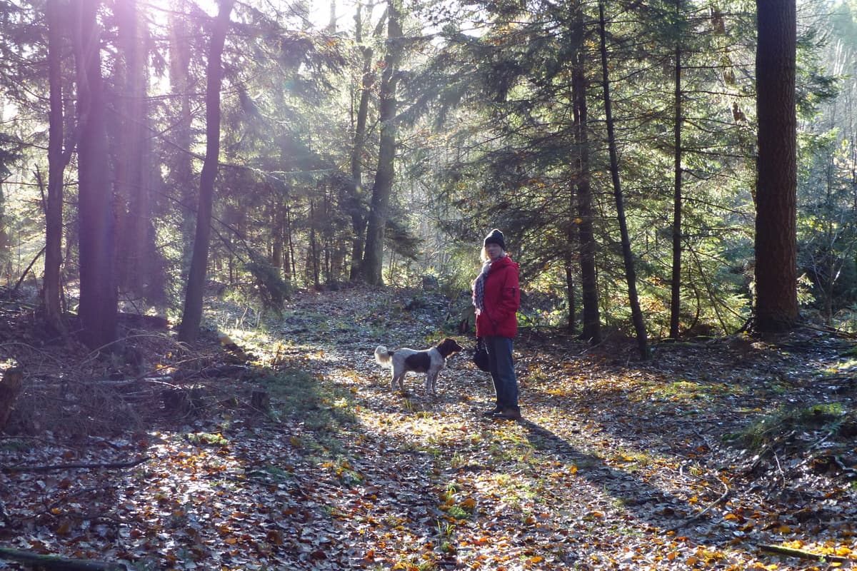 Wandern bei dem Forstgut Stübeckshorn