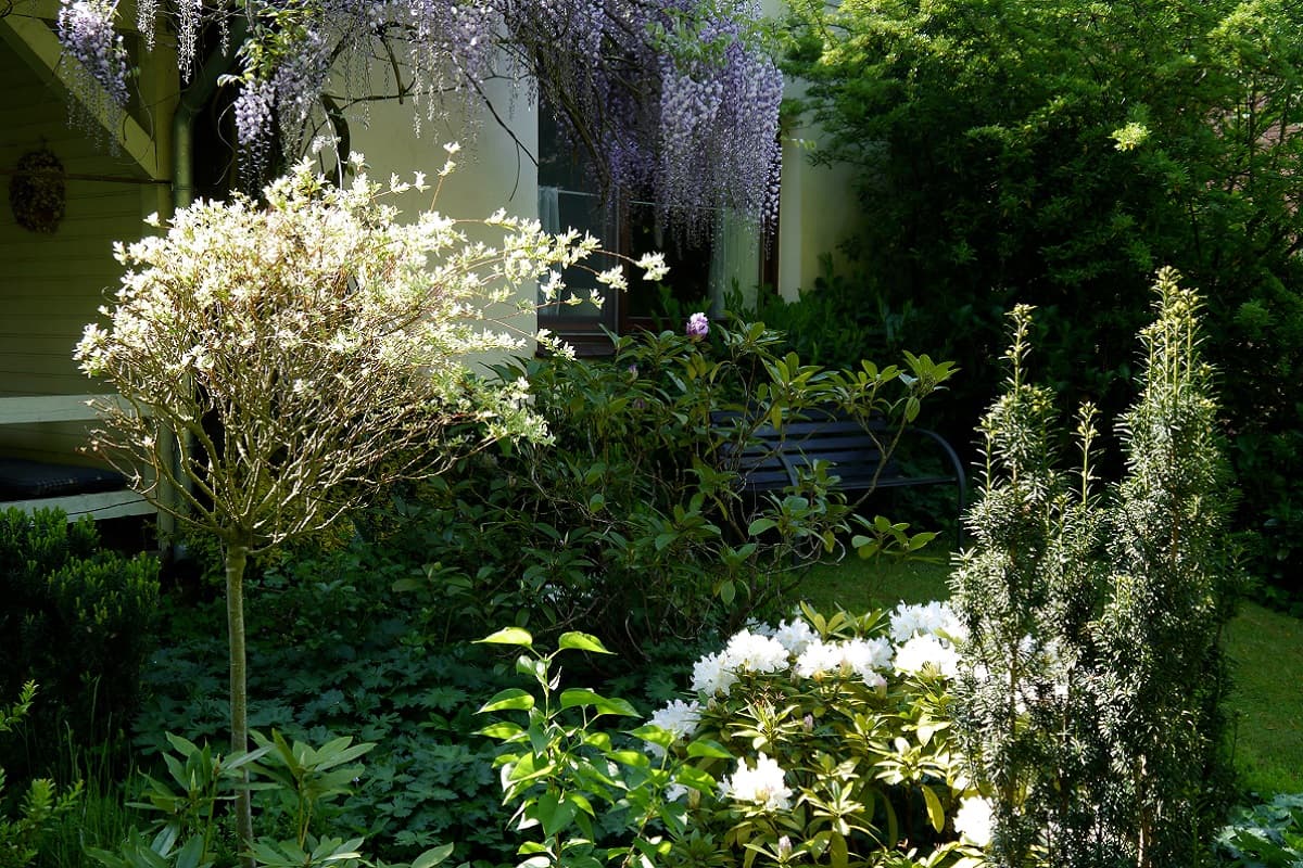 Garten Gästehaus Voss im Schloßgarten