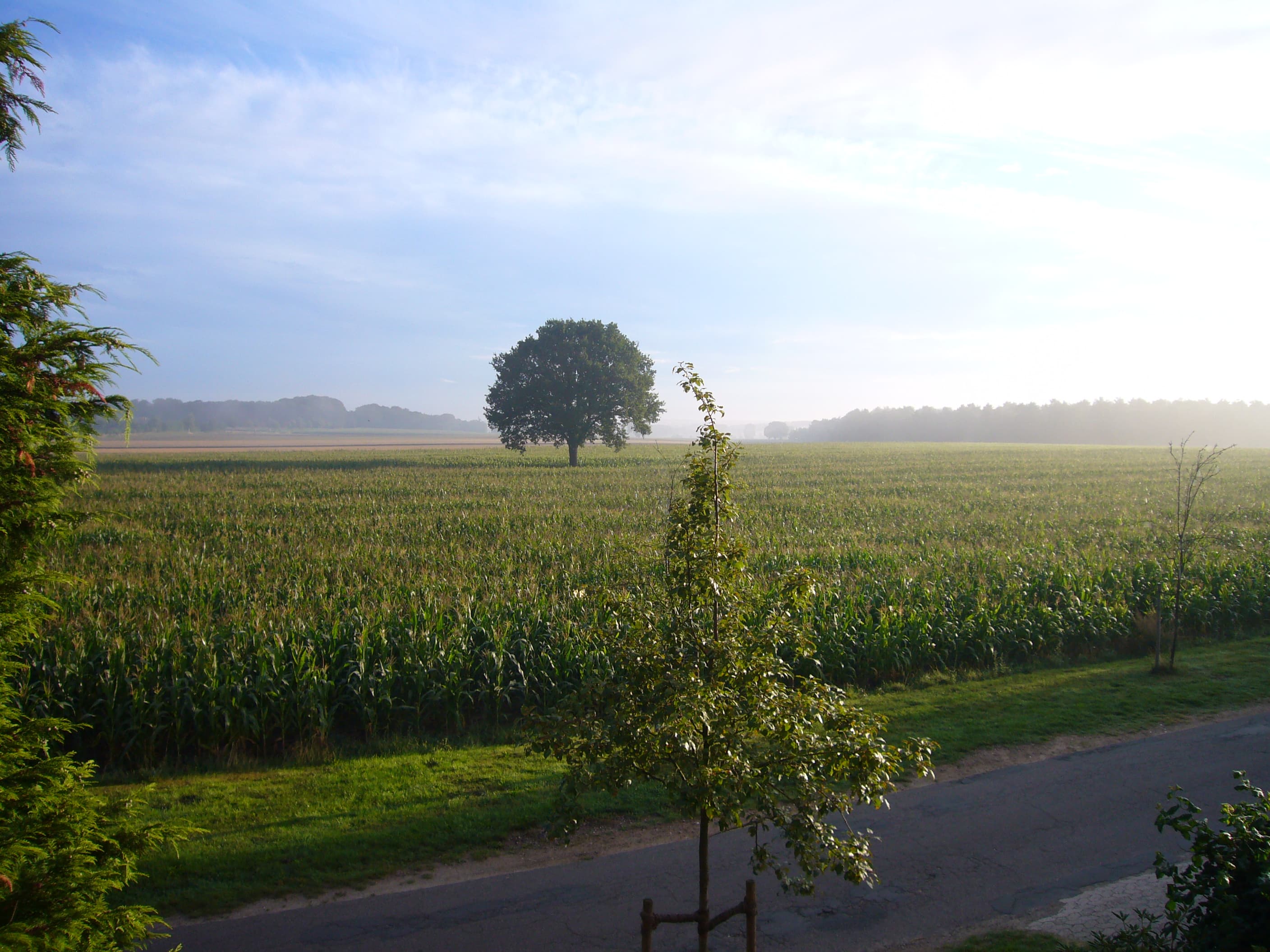 Aussicht Ferienwohnung Zum Regenbogen