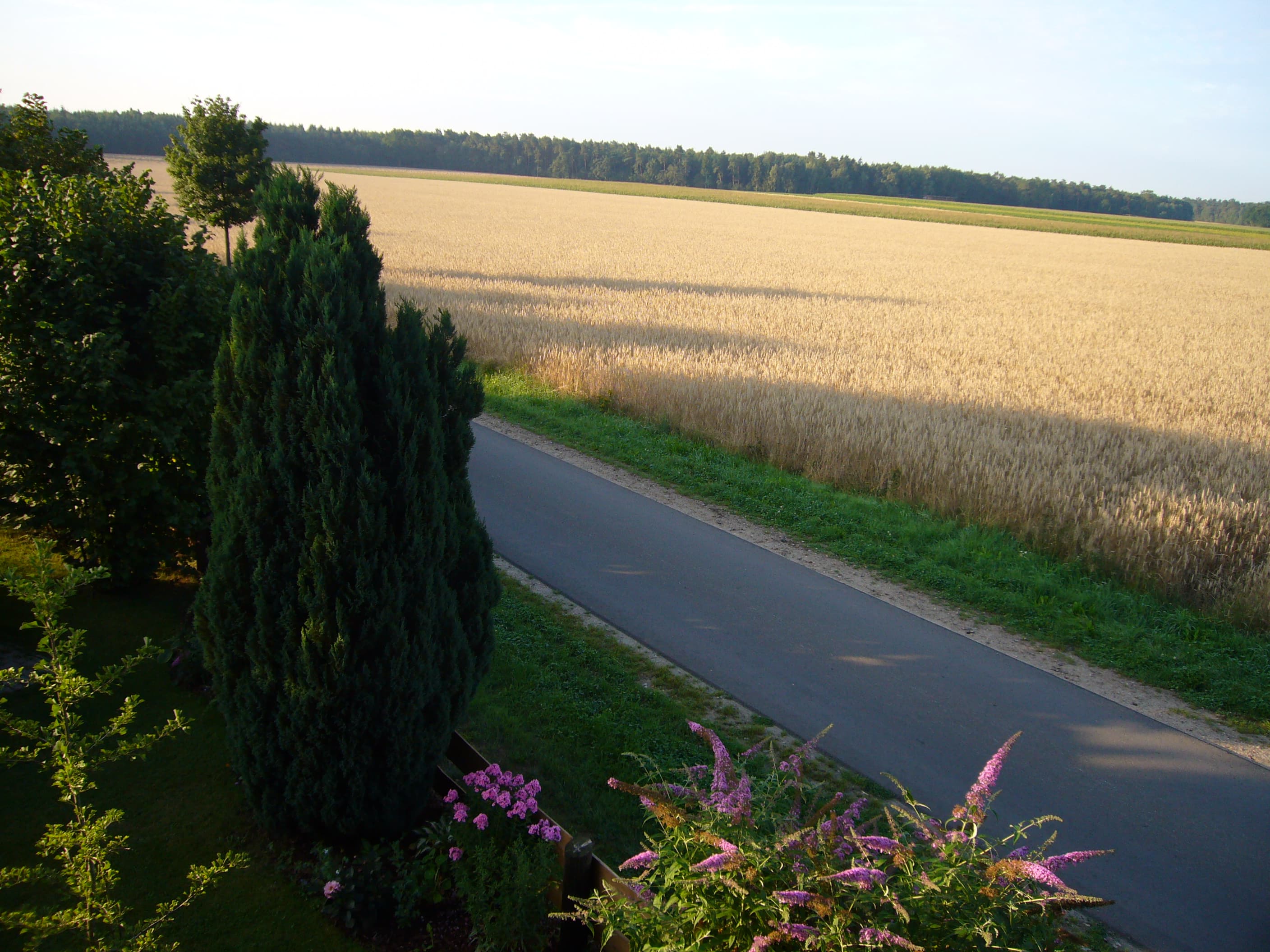 Aussicht Ferienwohnung Zum Regenbogen