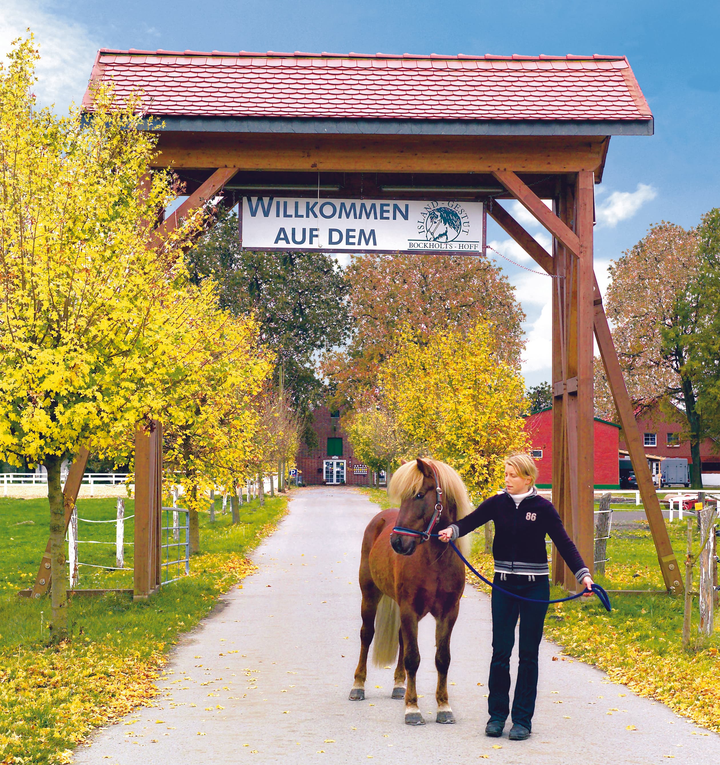Ferienwohnungen auf dem Reiterhof Islandgestüt Bockholts-Hoff