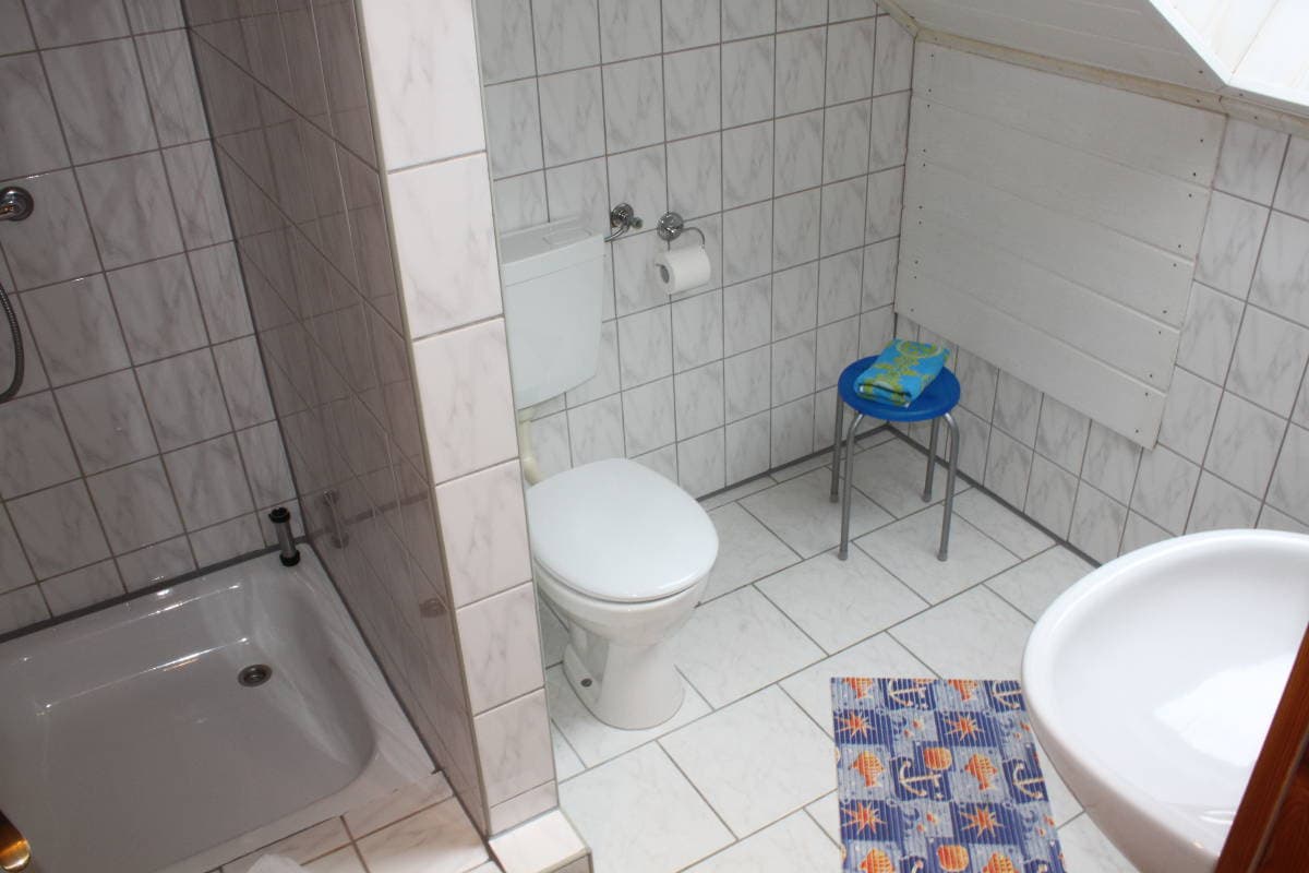 Bad mit Dusche / WC Ferienwohnung Hof Reckermann I