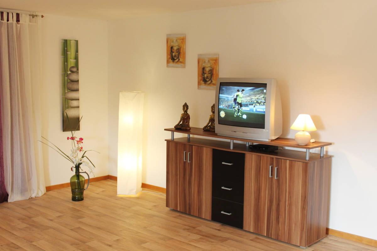 Wohnzimmer mit Sat-TV Ferienwohnung Hof Reckermann II
