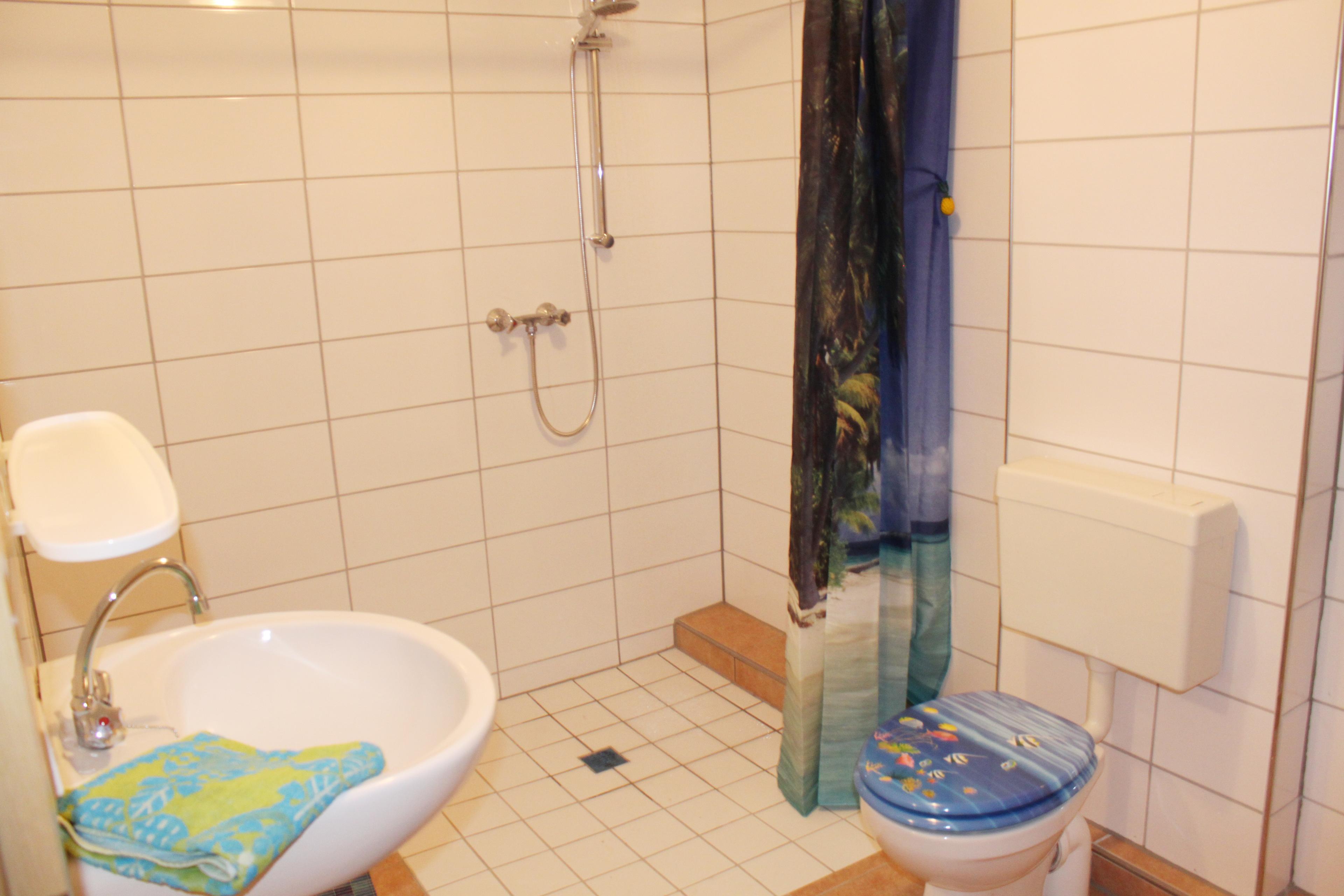 Badezimmer mit Dusche / WC Ferienwohnung Hof Reckermann II