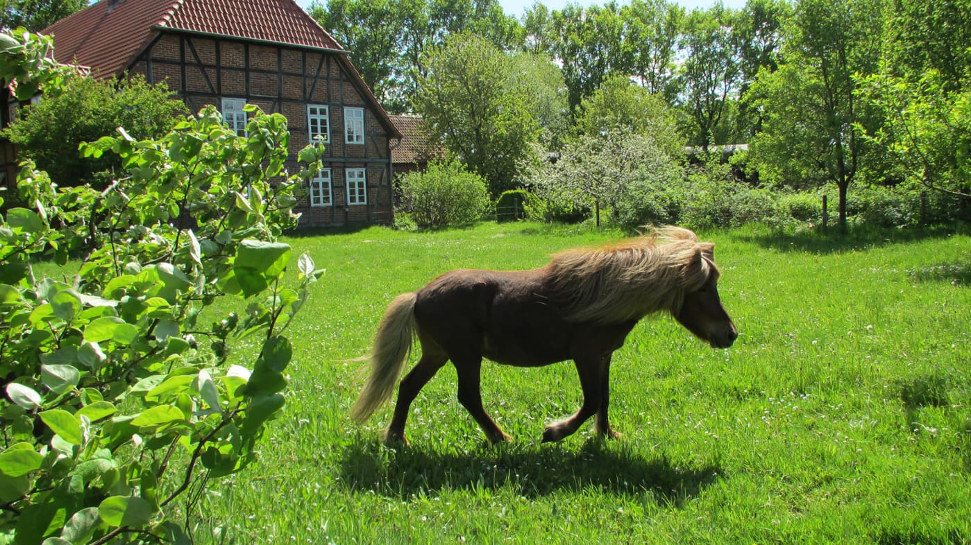 Henneken Hüs