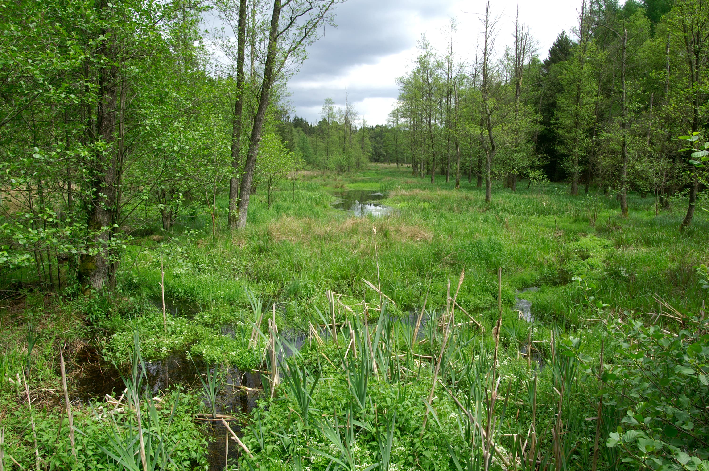 Hotel TraumzeitHof Naturschutzgebiet Lutter