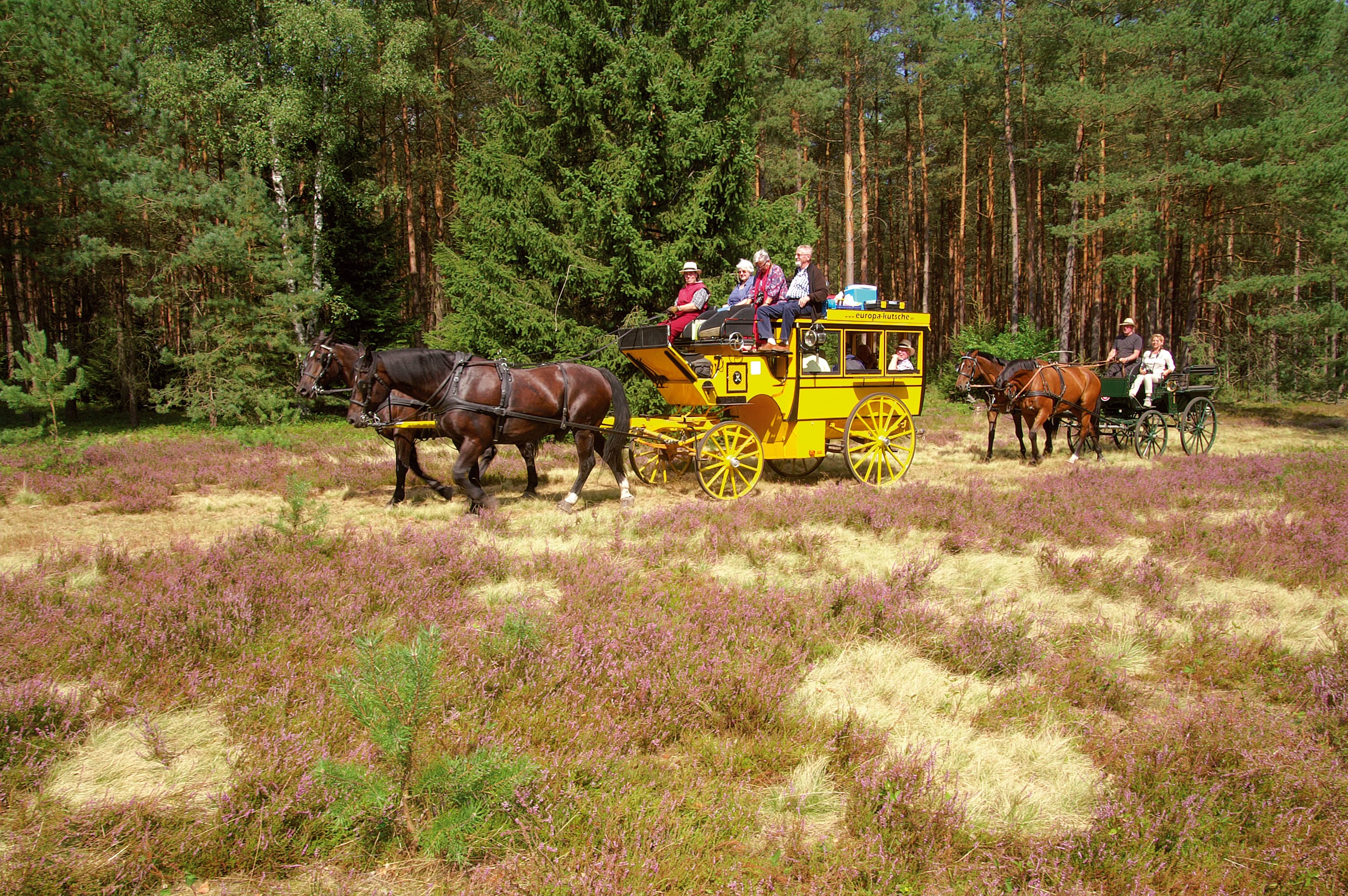 Hotel TraumzeitHof Heidetour Europakutsche