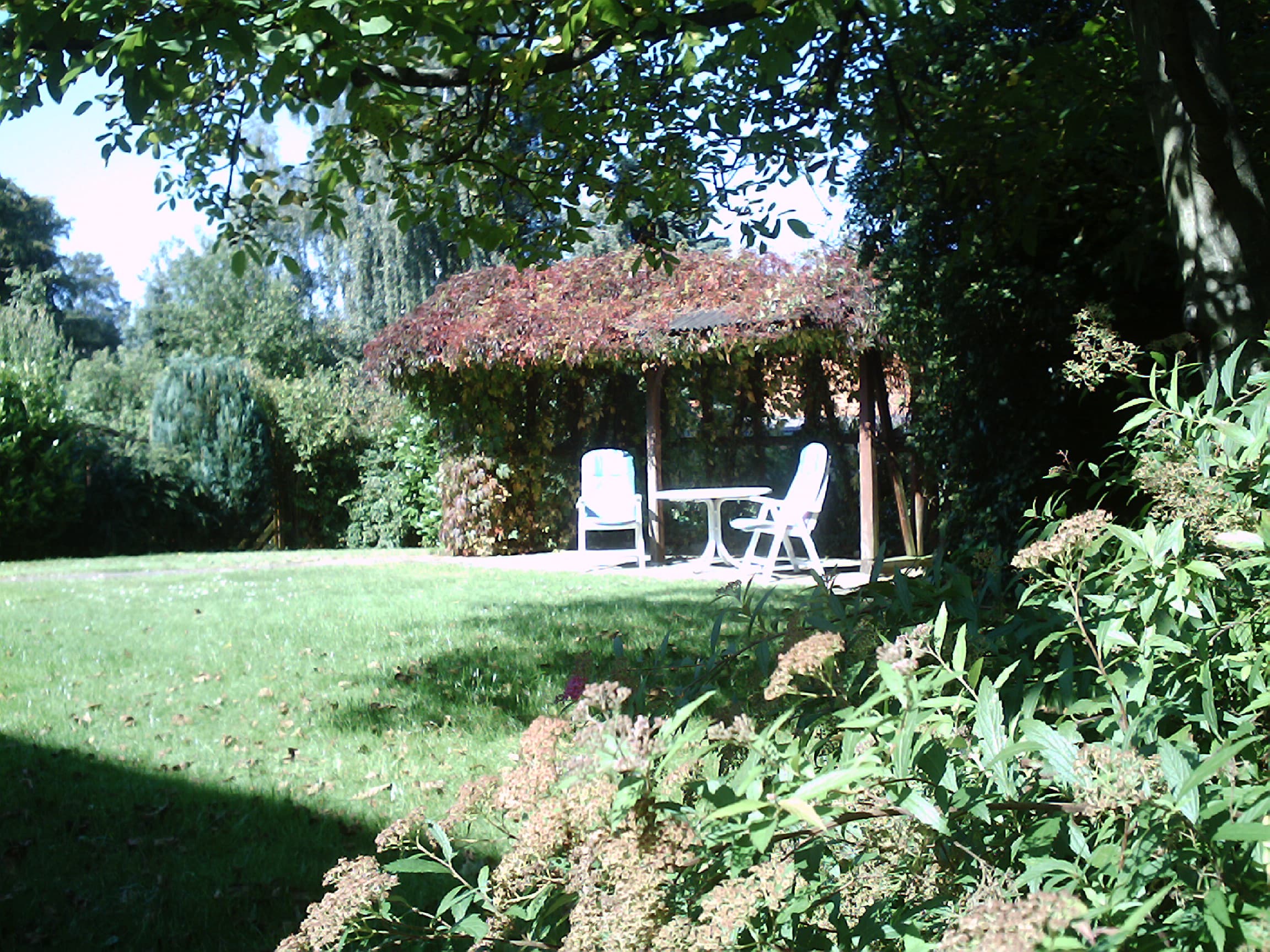 Grünanlage mit Weinlaube und Grillplatz Ferienhaus Loni