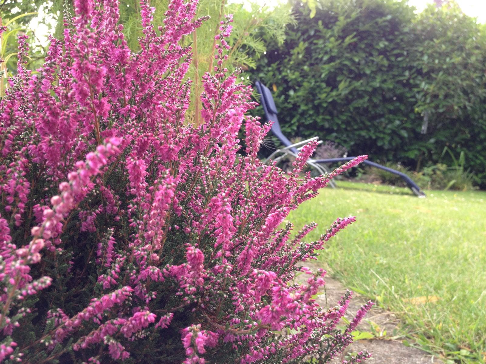 Garten Ferienwohnungen Heideidylle in Amelinghausen