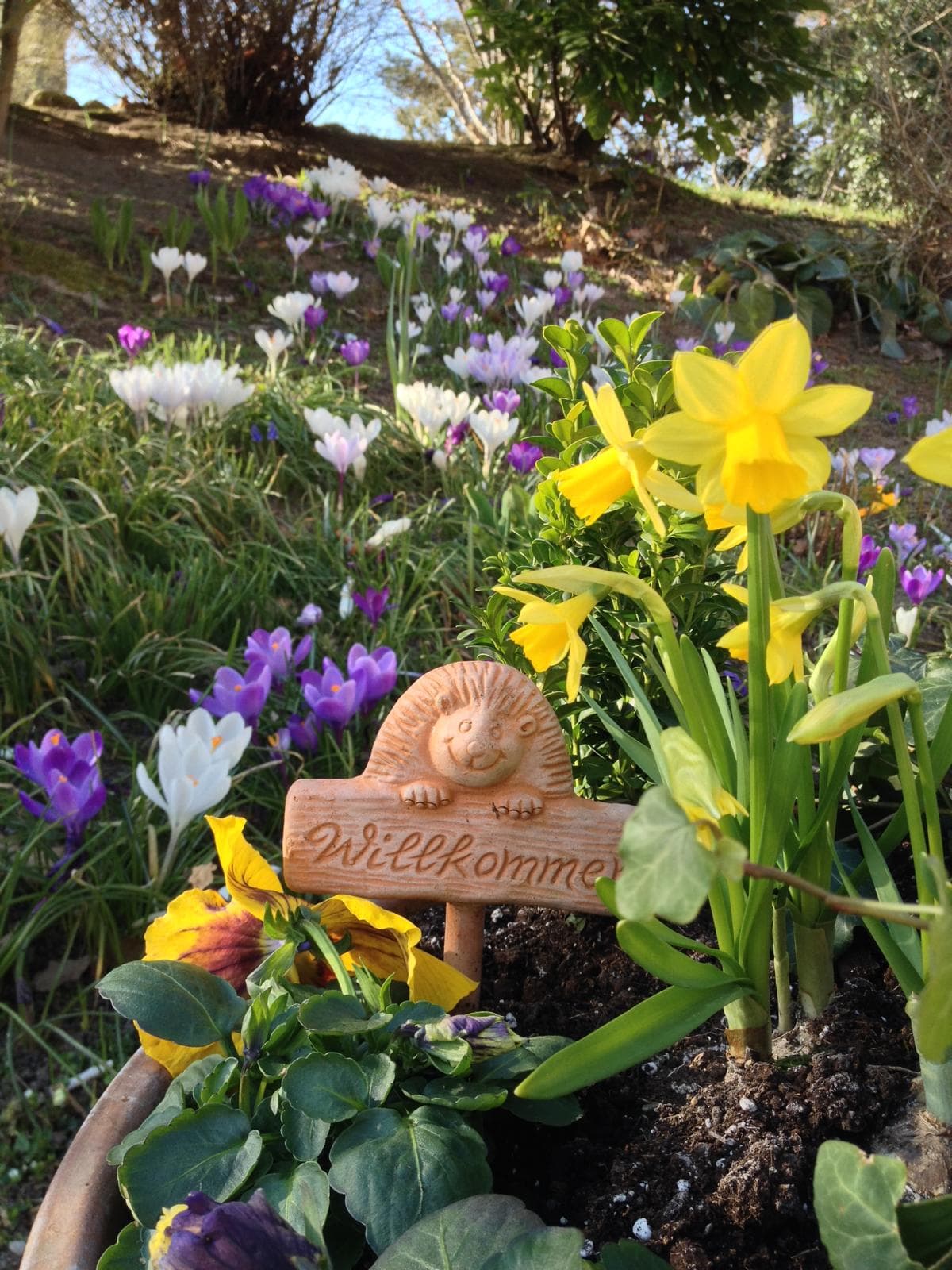 Garten Ferienwohnungen Heideidylle in Amelinghausen