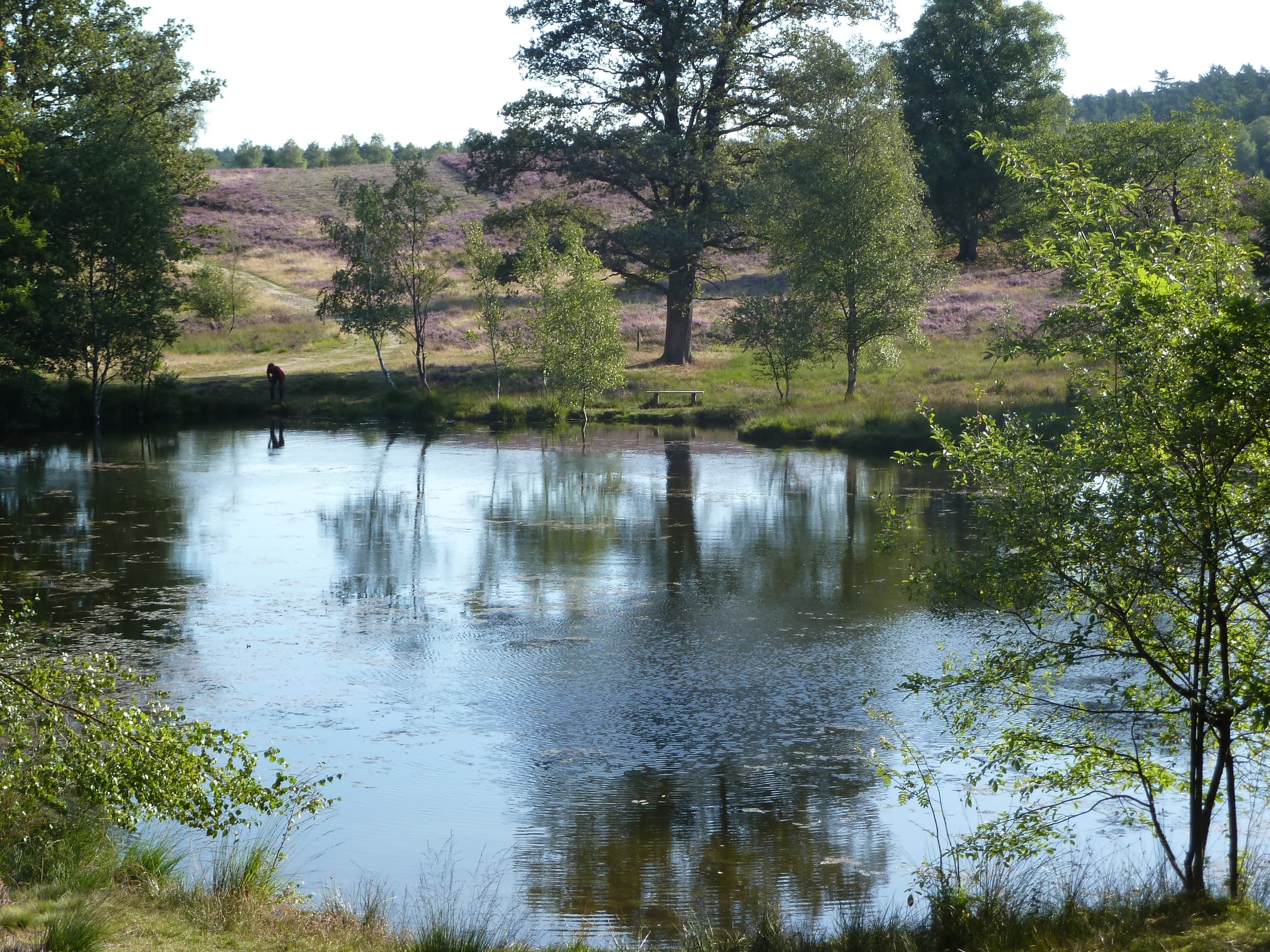 Ferienwohnung Schwalbennest