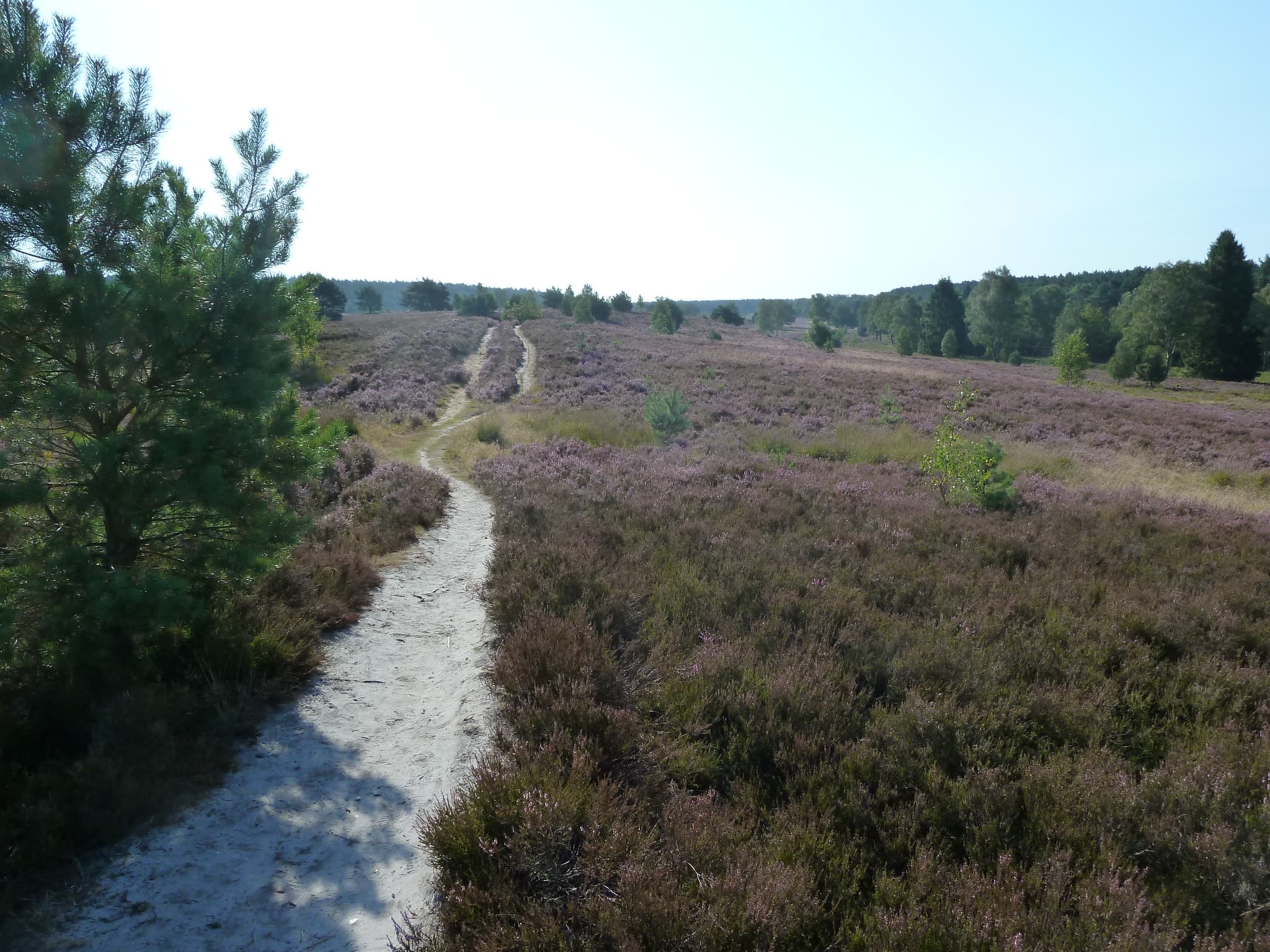 Ferienwohnung Ingrid Rosenbrock