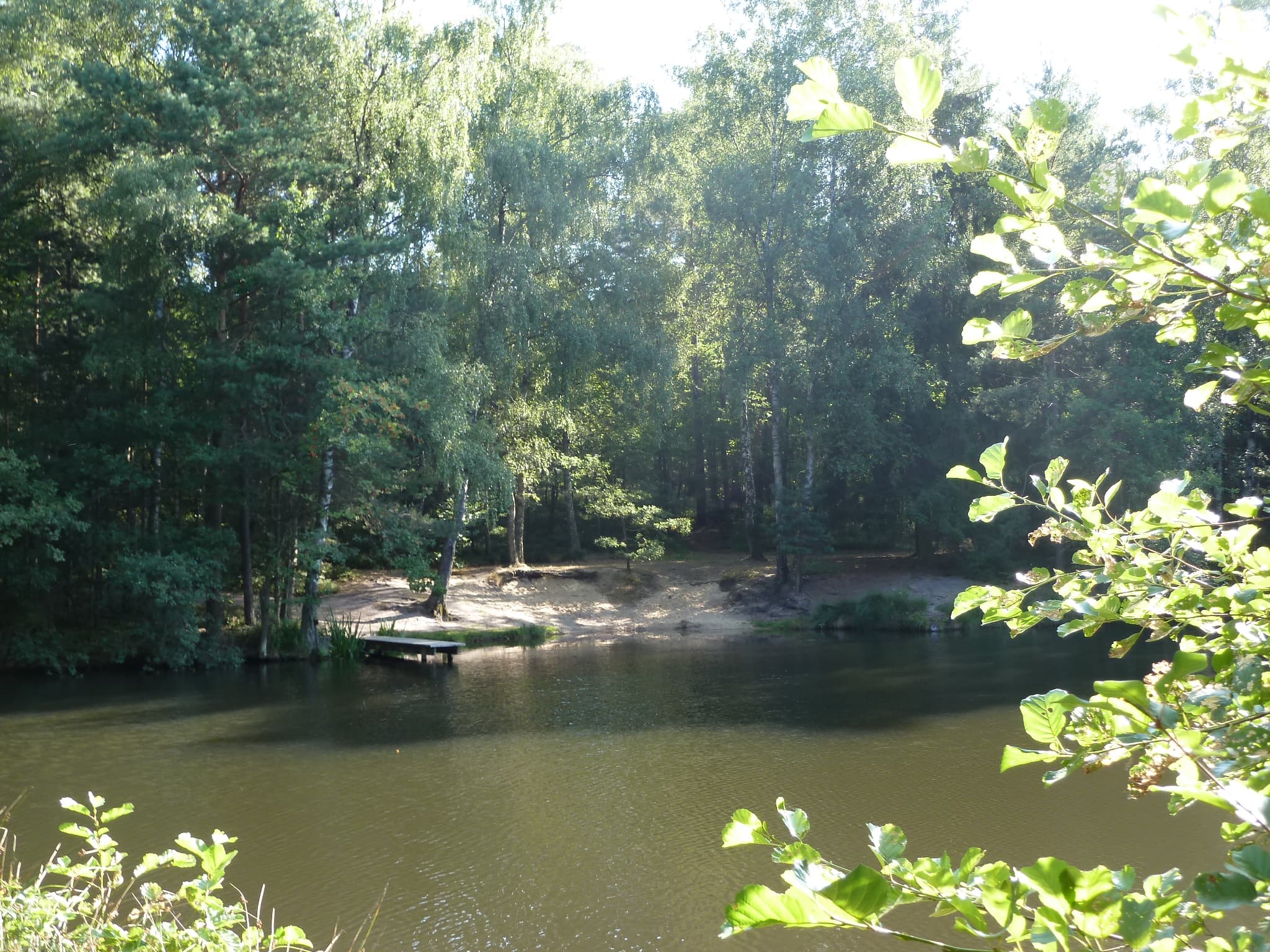 Ferienwohnung Schwalbennest