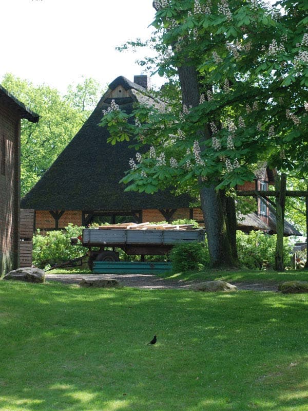 Garten Ferienhaus Nordheide