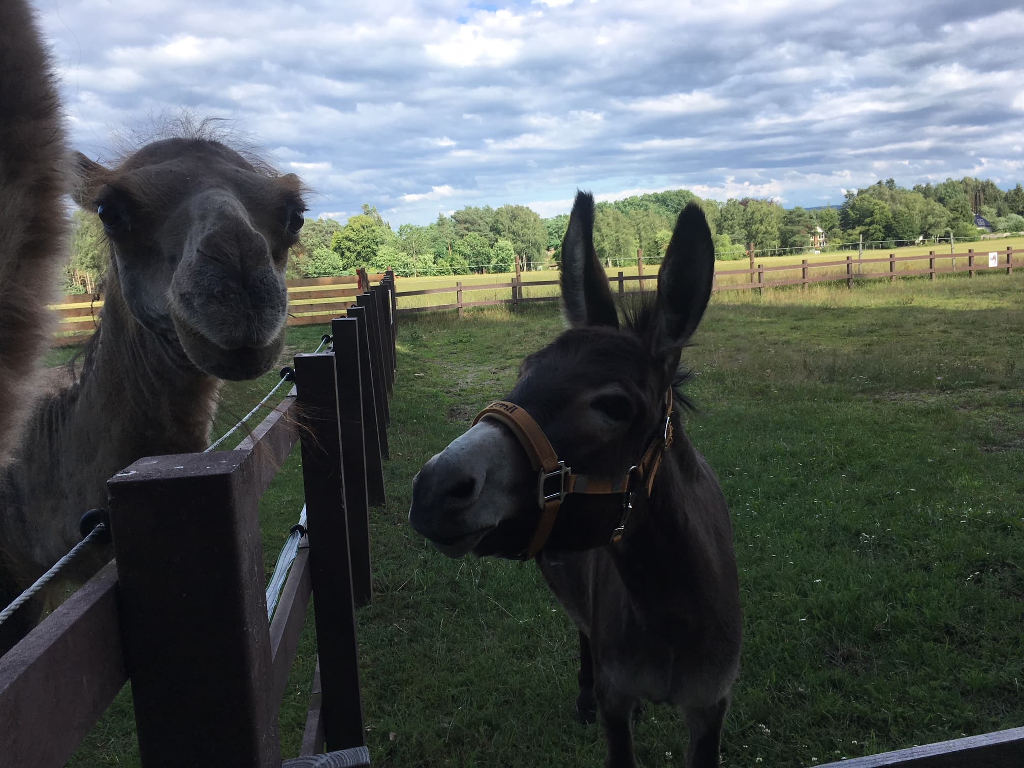 Emil und Daya der Villa zum Wuestenschiff in Handeloh