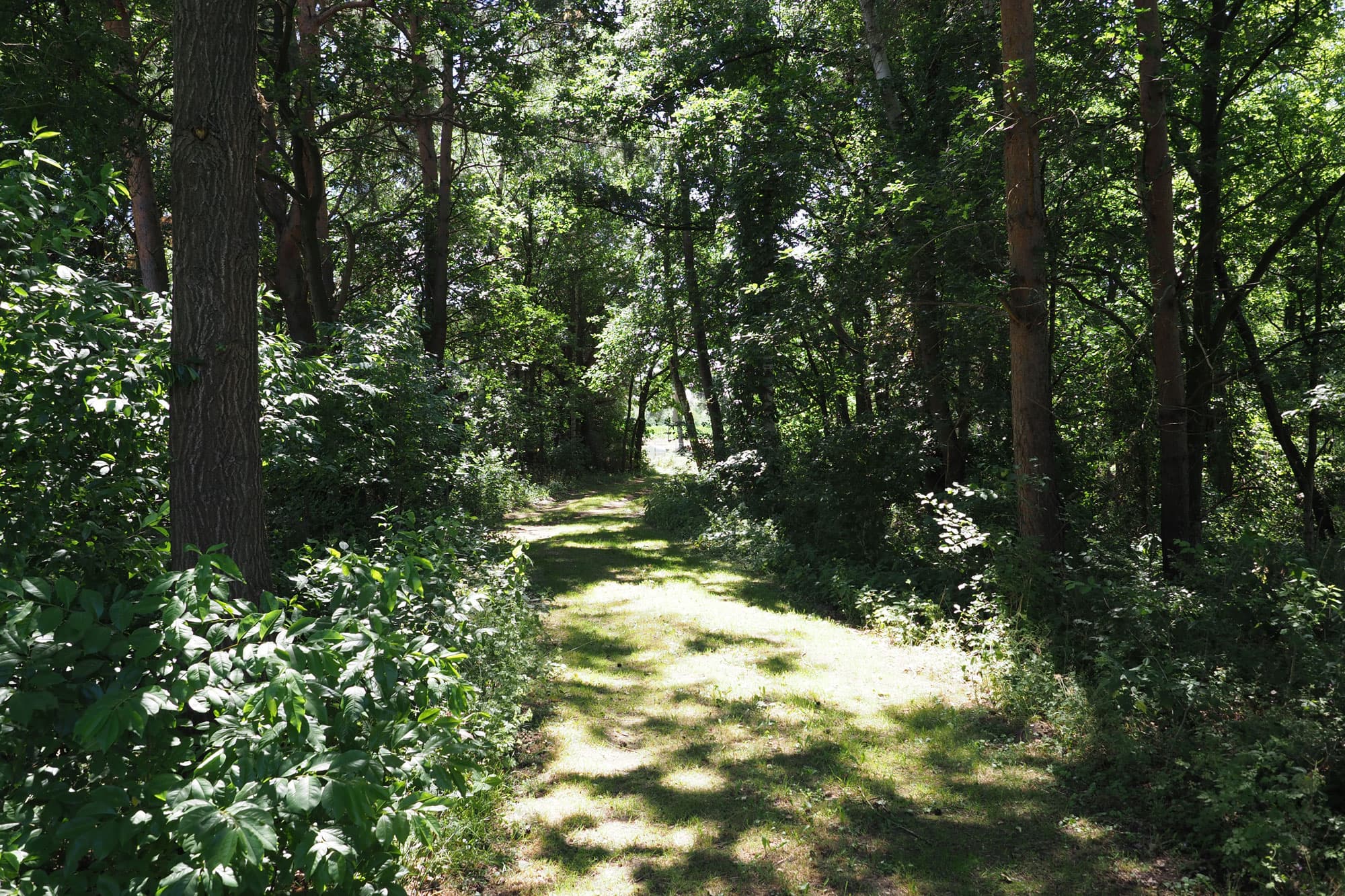 Weg auf dem Campinggelände