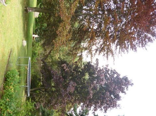 Heidjer Ferien - Tom olen Stien