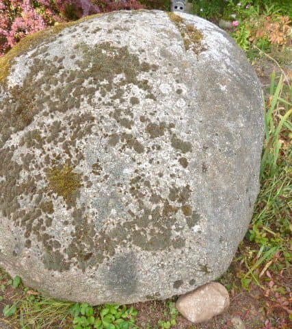 Heidjer Ferien - Tom olen Stien