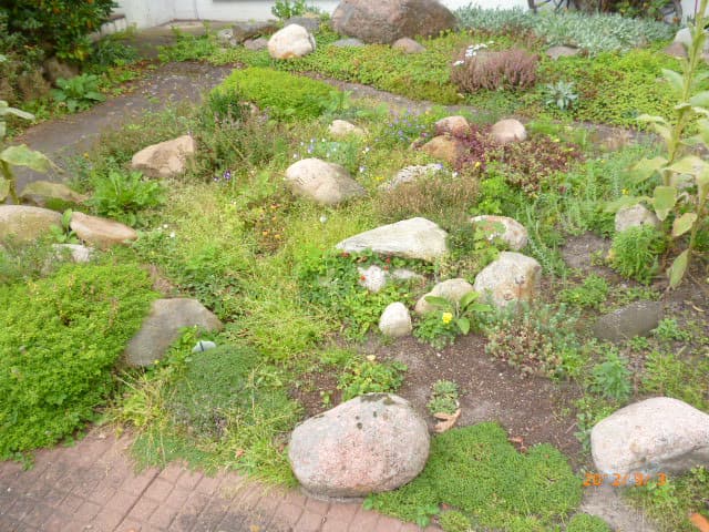 Heidjer Ferien - Tom olen Stien