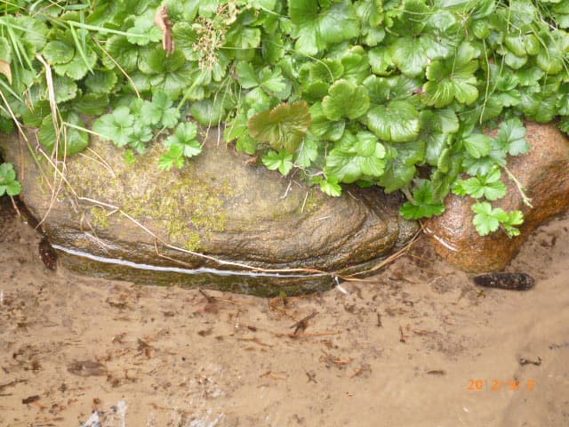 Heidjer Ferien - Tom olen Stien