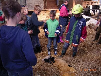 Bauernhof Familie Wehrhoff