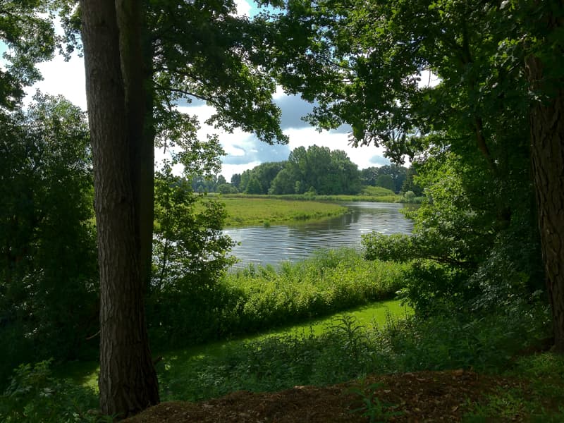 Allerkurve Ferienhaus Heide Lodge