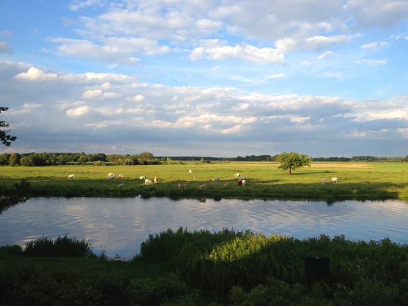 Aussicht Ferienhaus Heide Lodge